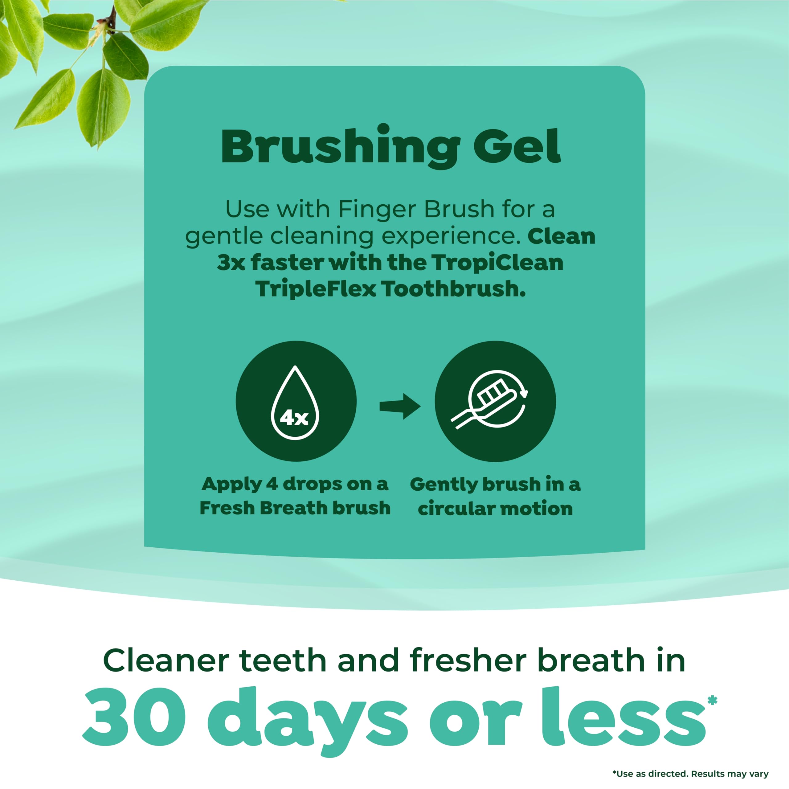 TropiClean Fresh Breath Toothbrush and Toothpaste Kit for Dogs, Teeth Cleaning Kit for Plaque & Tartar Removal, Breath Freshener