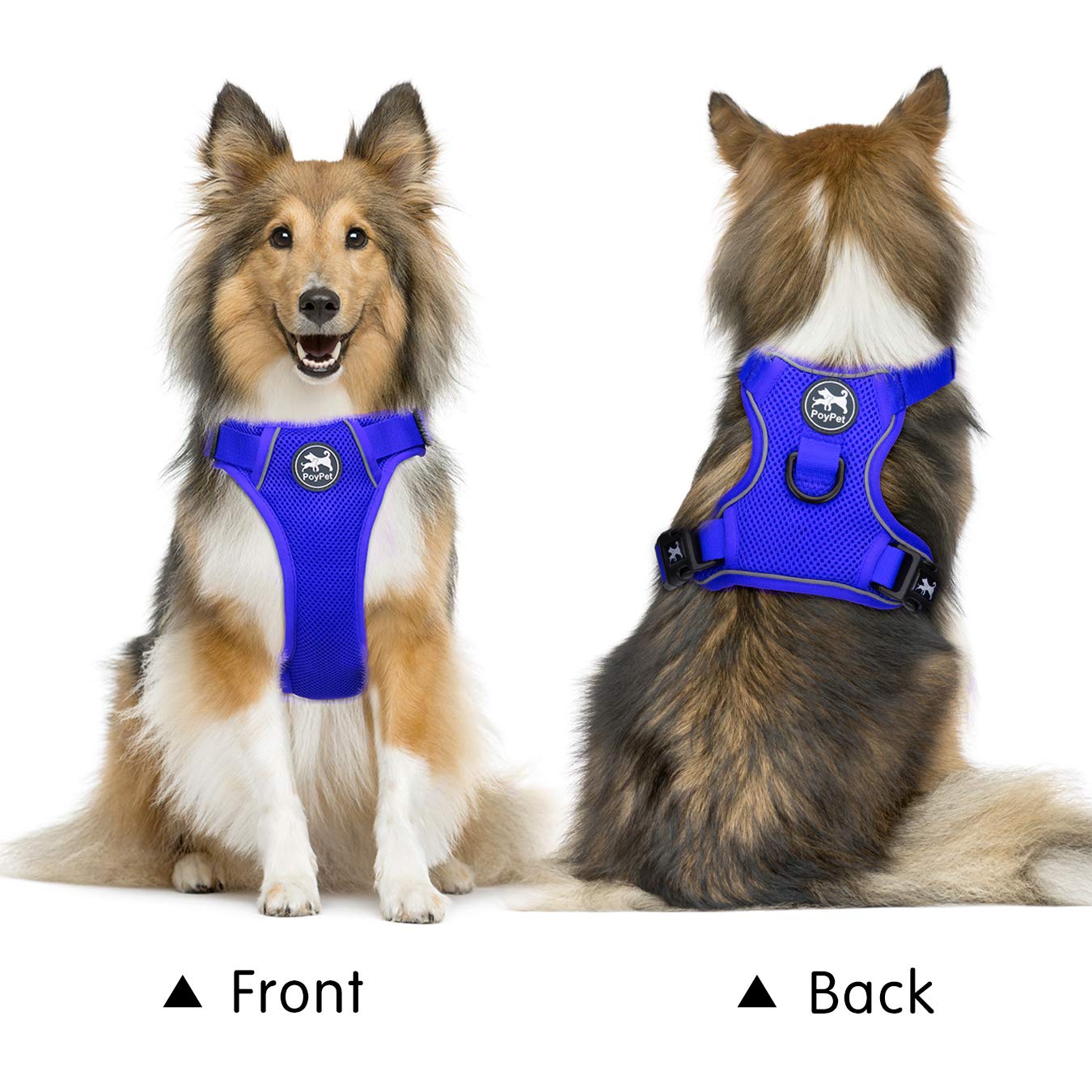 Poypet Reflective Soft Breathable Mesh Dog Harness Choke-Free Double Padded Vest With Adjustable Neck And Chest(Royal Blue,M)
