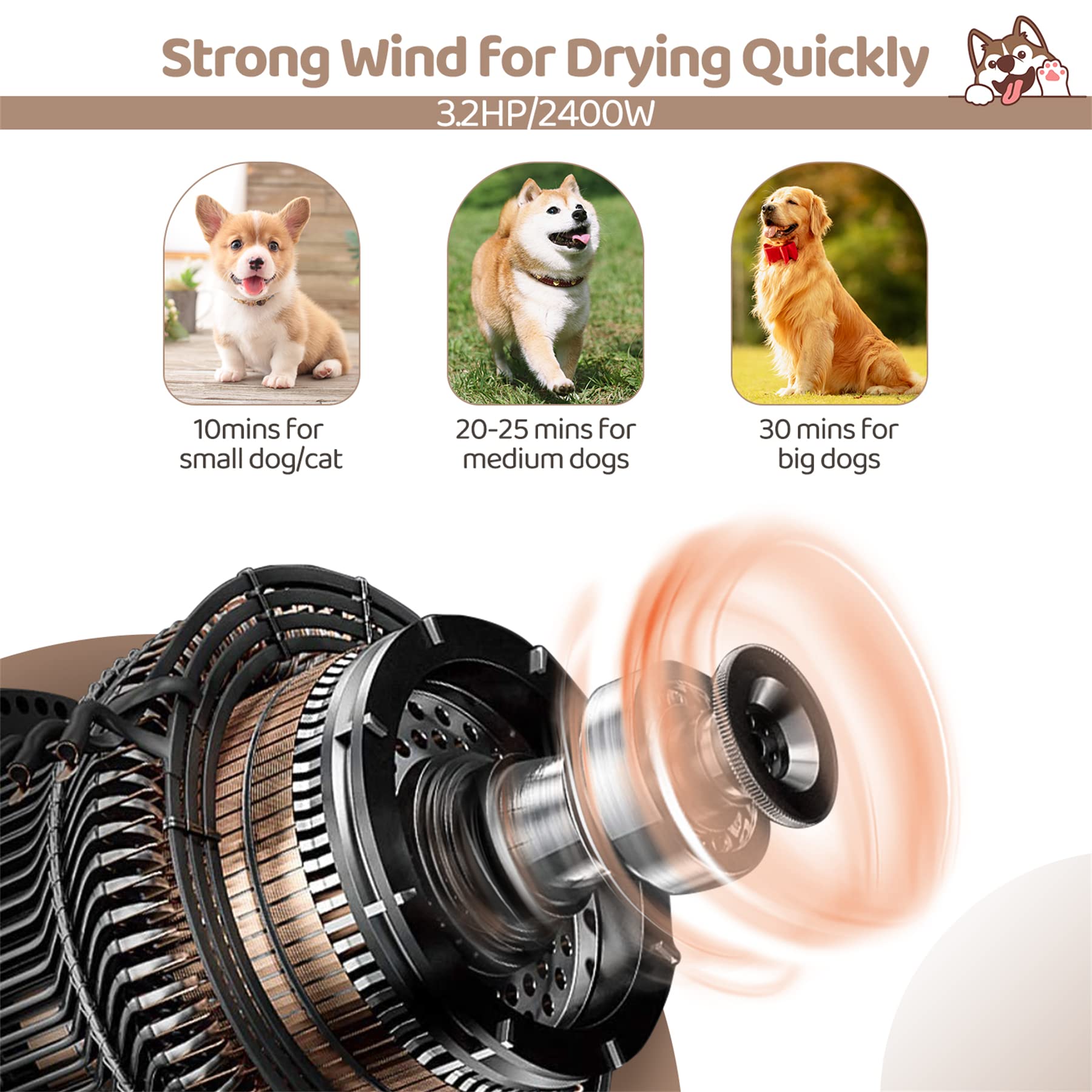 display4top Dog Dryer - 2400W High Velocity Pet Blower with Adjustable Heat & 3 Nozzles - 4 Piece Set - Black