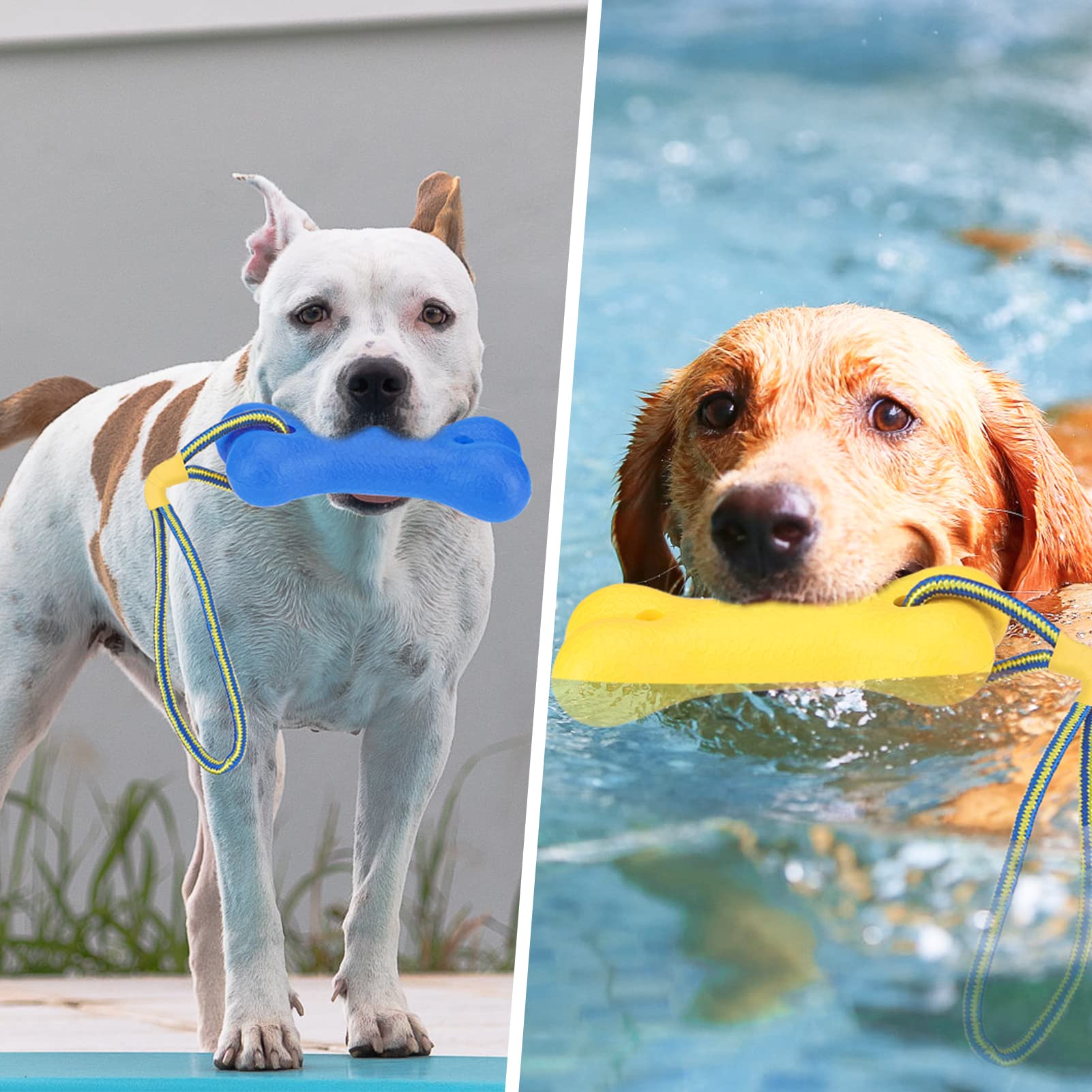 Scenereal Dog Water Toys For Medium & Large Dogs - Interactive Floating Pool Toys, 2 Pack Fetch Chew Toys, Retrieving Dummy For