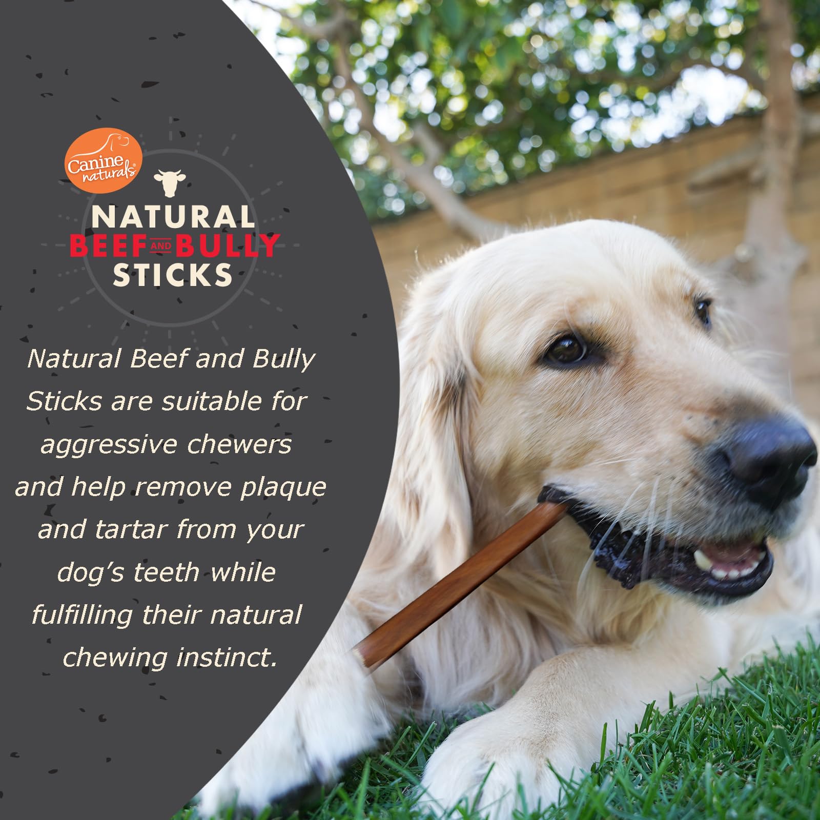Canine Naturals | Natural Beef & Bully Sticks | 48 Count | Long-Lasting, Odor Free, High Protein Chews Made with 100% Real Bully