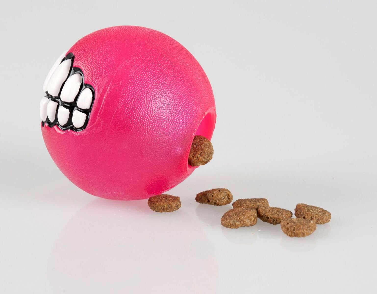 Rogz Dog Chew and Fetch Ball, Large