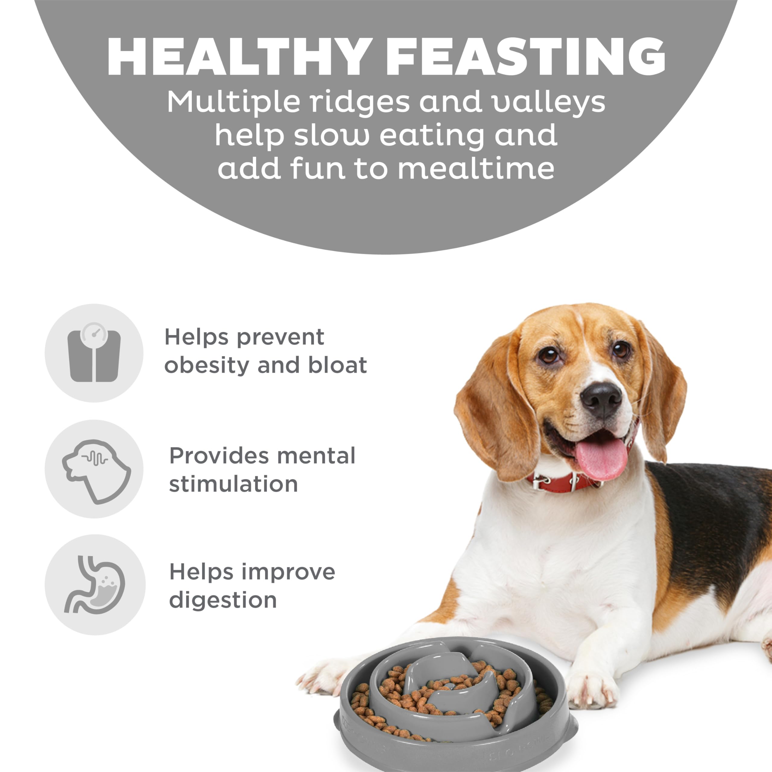 Outward Hound Medium Slow Feeder Bowl, Puzzle Maze for Fast Eaters, Small to Medium Dogs, Helps Prevent Bloat & Aid Digestion, H