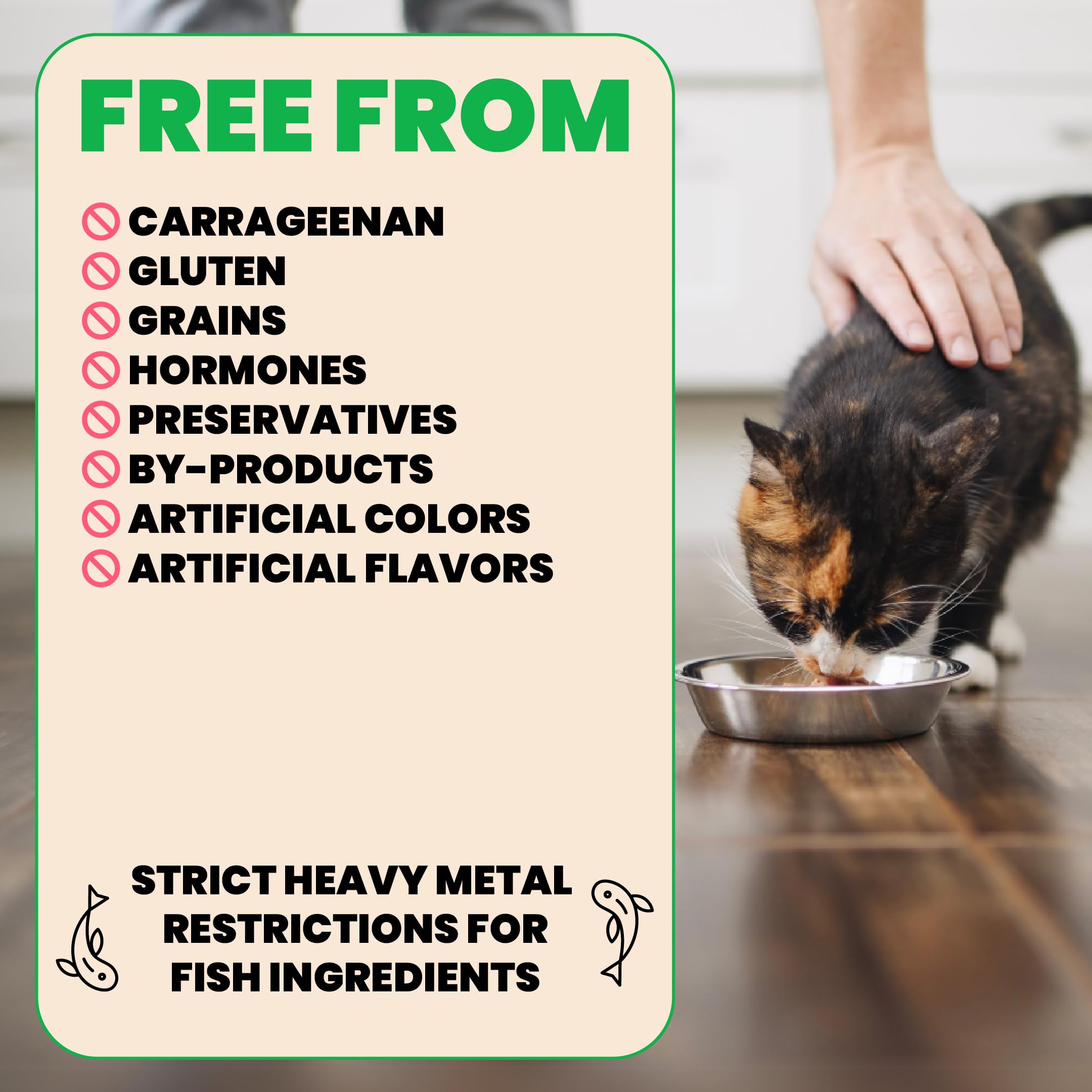 Almo Nature Wet Cat Food Variety Pack - Fish & Chicken, Grain Free, 2.47 oz, 12 Pack, Highly Digestible, Additive & Preservative Free