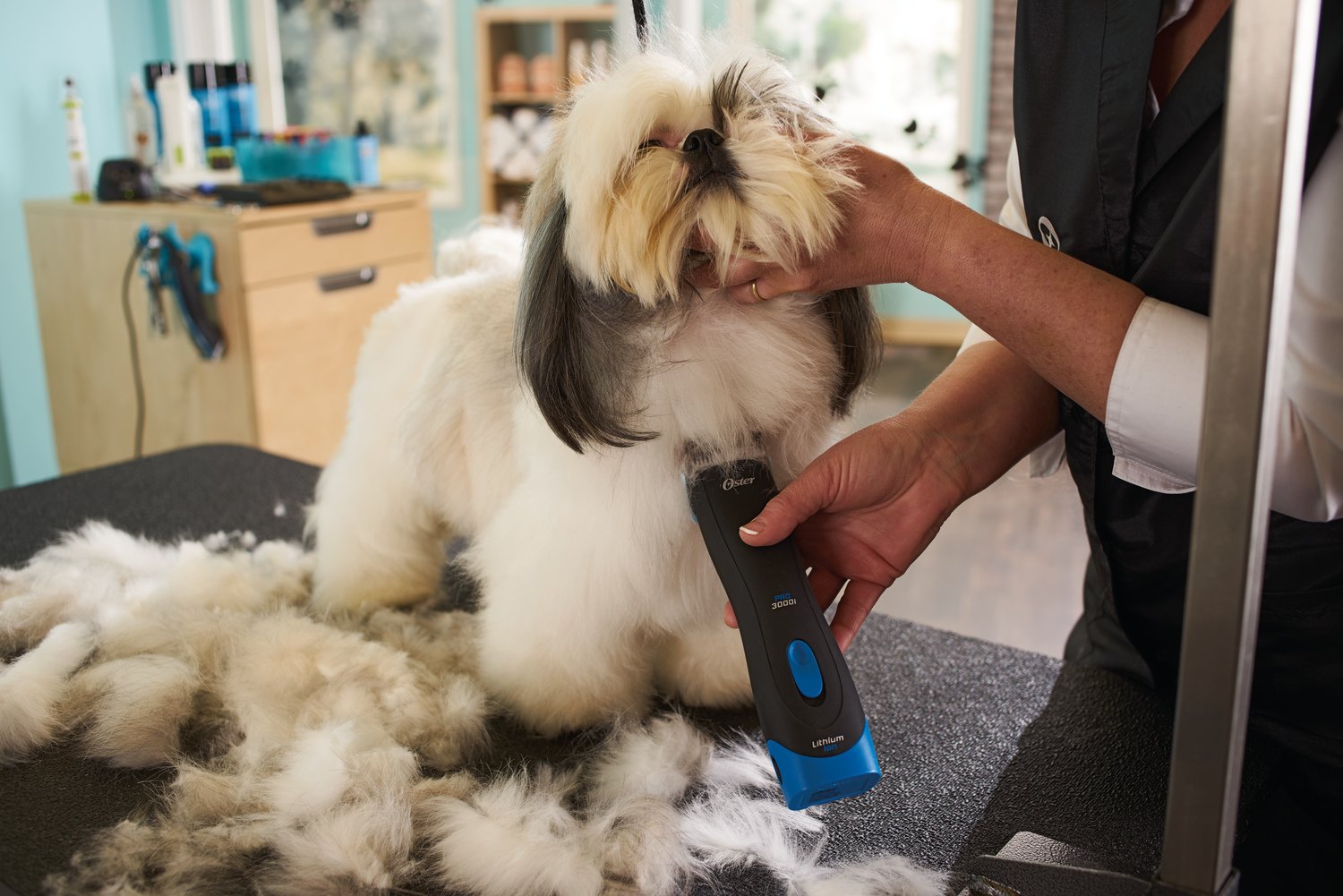 Oster Pro 3000i Cordless Pet Clippers, Size 10 CryogenX Blade, Black/Blue, 6.90 x 1.80 x 1.90 Inch, Professional