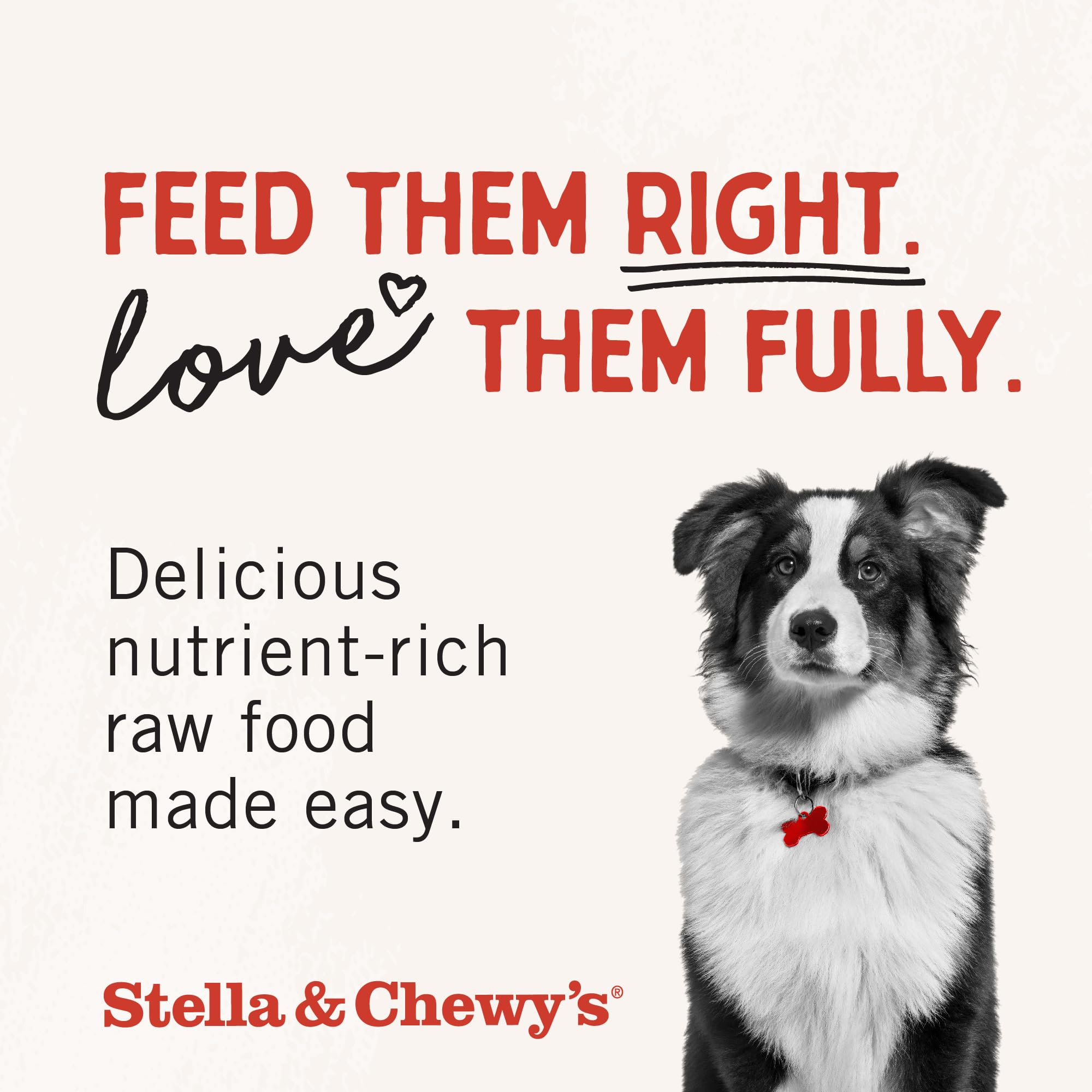 Stella & Chewys Freeze Dried Raw Surf & Turf Meal Mixer - Dog Food Topper for Small & Large Breeds - Grain Free, Protein Rich R