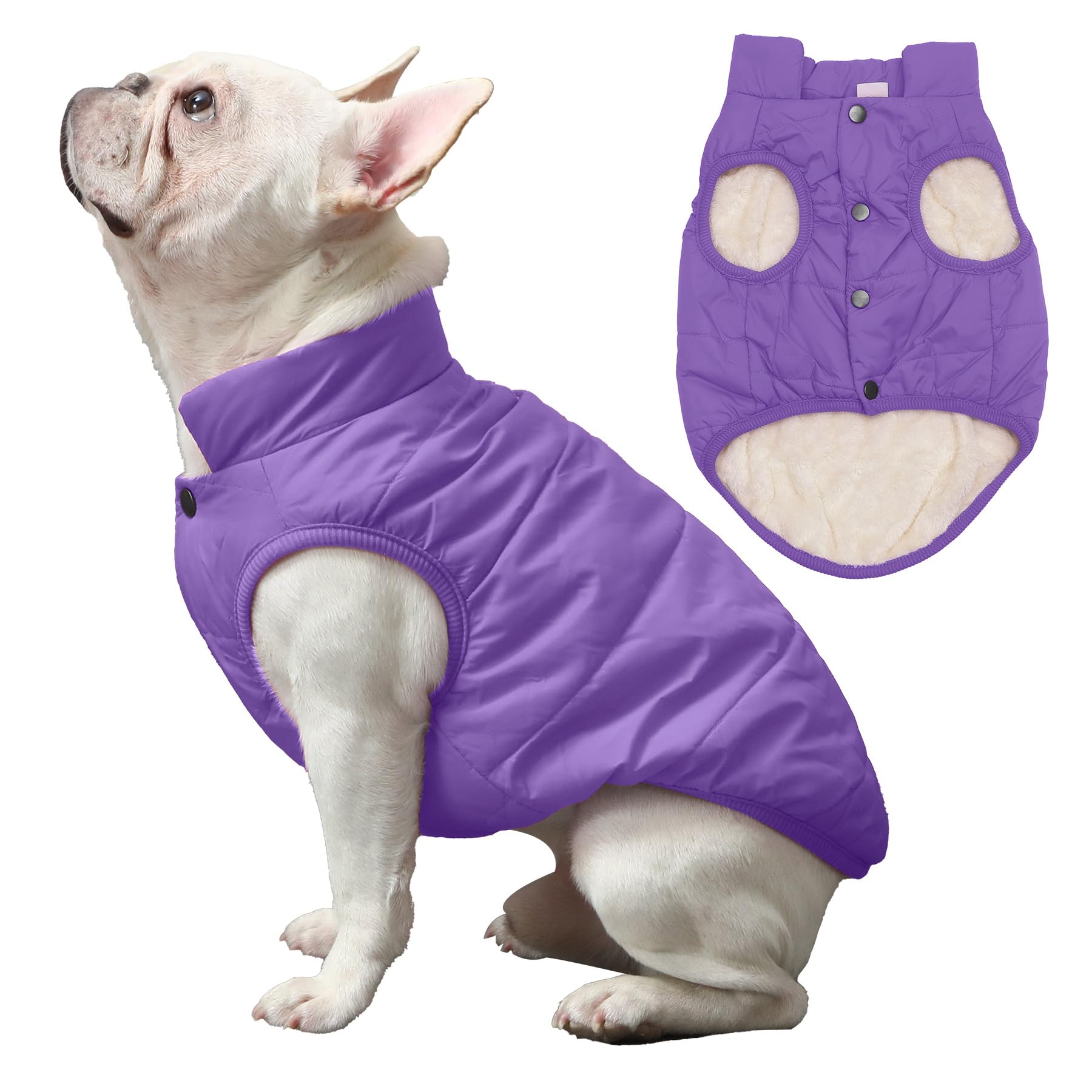 Joydaog 2 Layers Fleece Lined Warm Dog Jacket For Winter Cold Weather,Soft Windproof Large Dog Coat,Purple Xxl