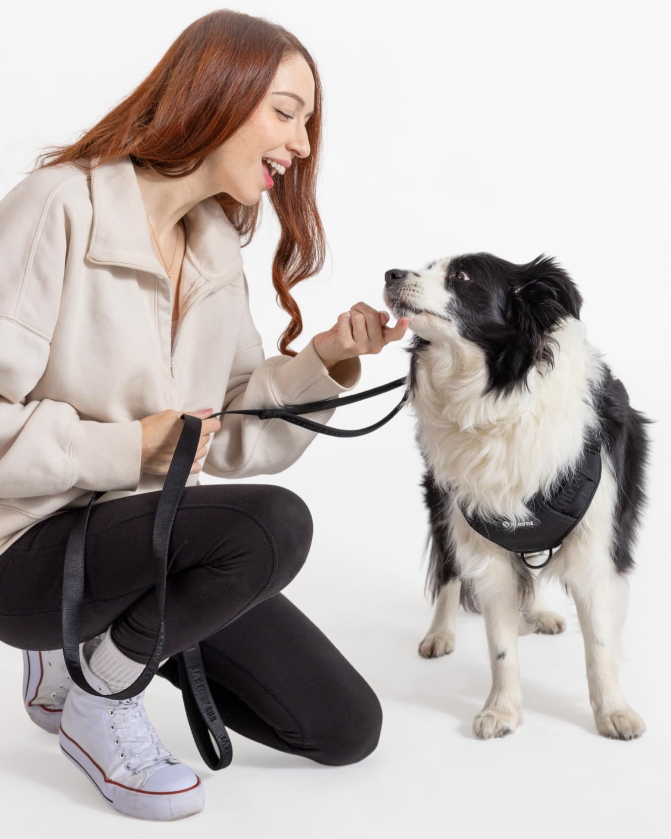 2025 New Edition, Fei & Eve Classic Dog Leash - 4FT - for Small/Medium/Large Dogs, Sable