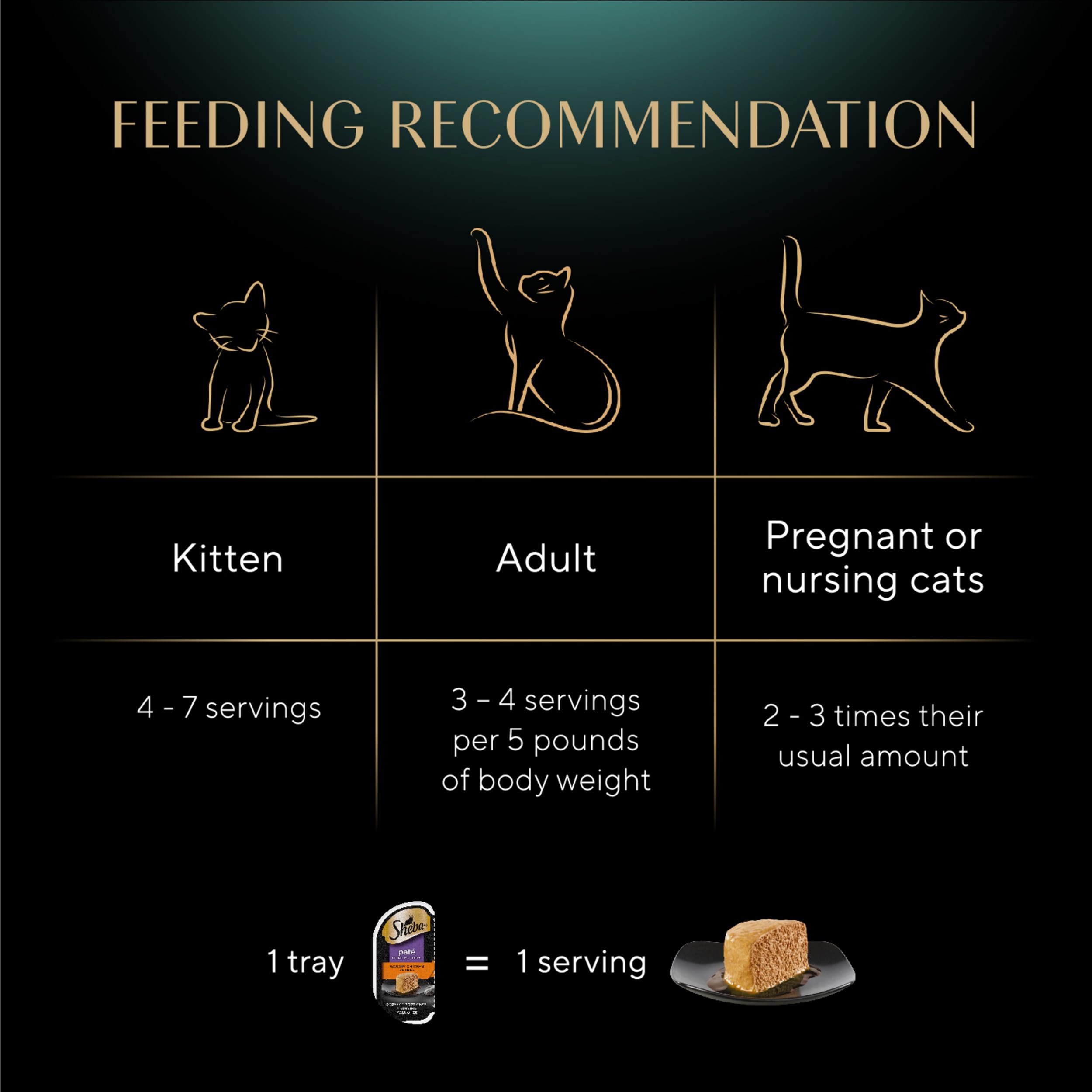 Sheba Perfect Portions Wet Cat Food Pate Savory Chicken Entree and Roasted Turkey Entree Variety Pack, 2.6 oz. Twin Pack Trays (