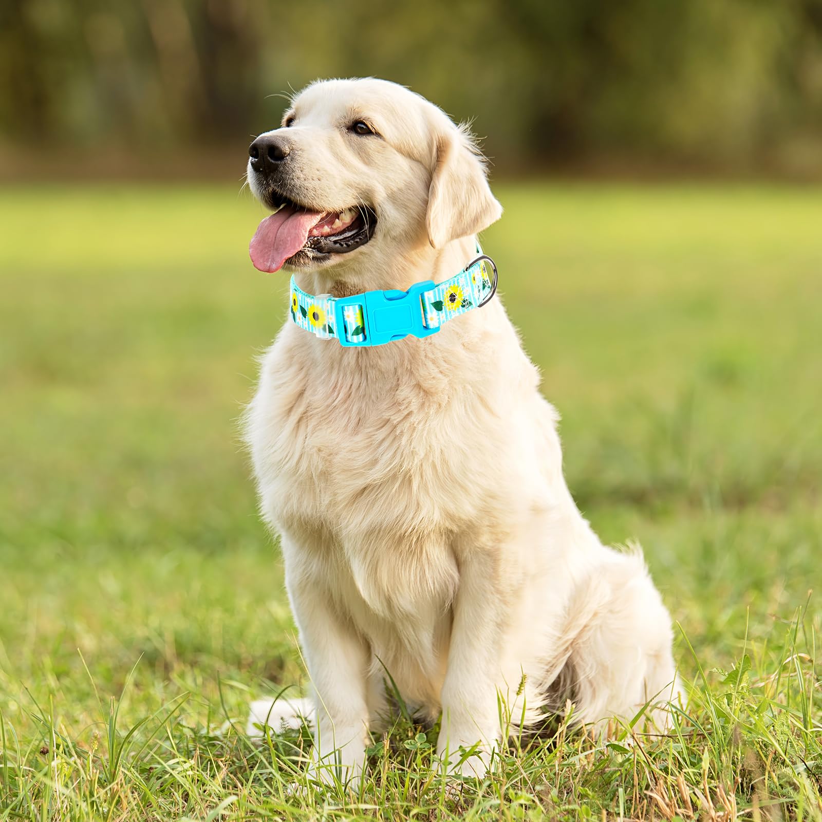 Onefojojo Sunflower Floral Dog Collar - Soft Nylon Adjustable Collar For Small Dogs, Quick-Release Buckle, Durable Pet Collar Fo