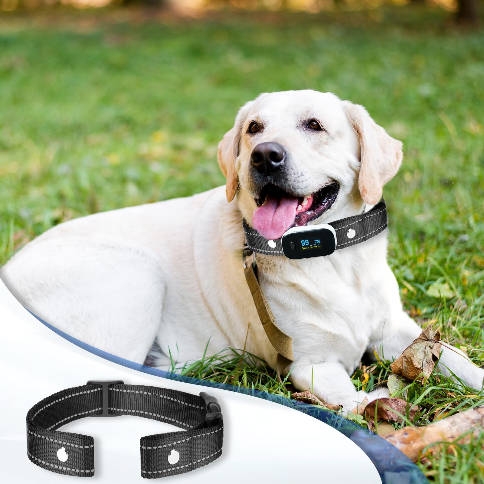 Reflective Shock Collar Replacement Strap, Dog Gps Training Bark Receiver Collars, Heavy Duty Replacement Collar For Shock Train