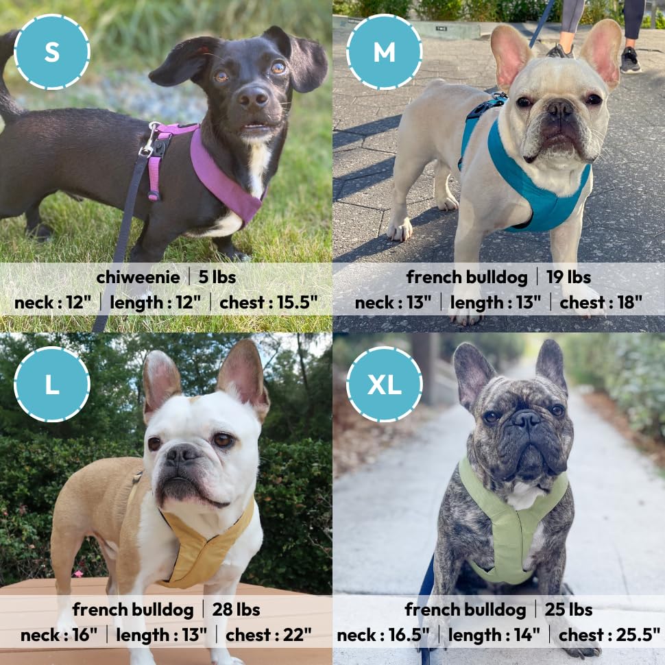 Gooby Comfort X Harness - Dual Snap, Purple, Medium - No Pull Small Dog Harness with Rotational Buckles and Patented Choke-Free