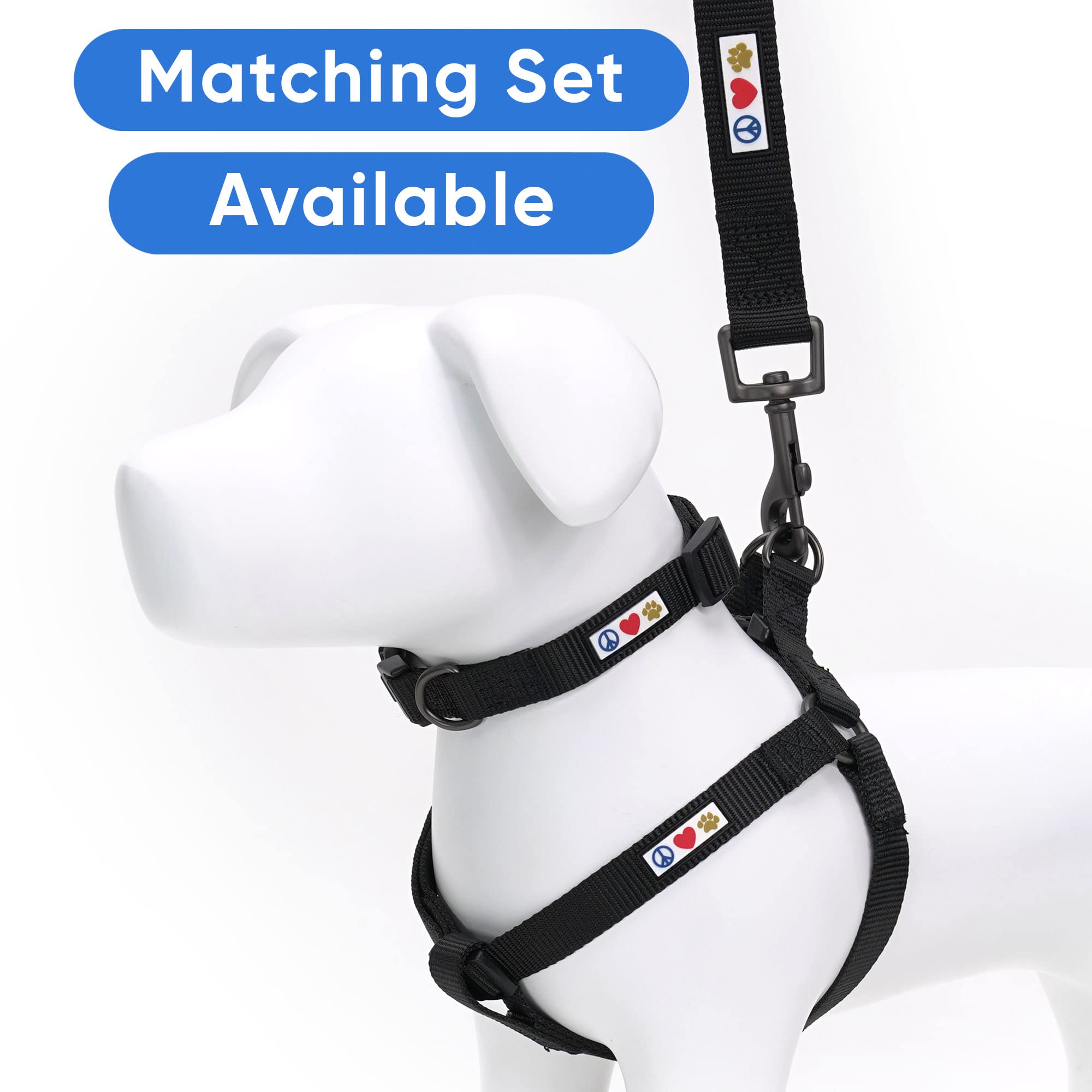 Pawtitas 6 Ft Solid Color Leash For Puppy Leash Dog Leash Comfortable Handle Dog Training Leash 6 Ft Dog Leash Extra Small Dog Leash/Small Dog Leash Black Dog Leash