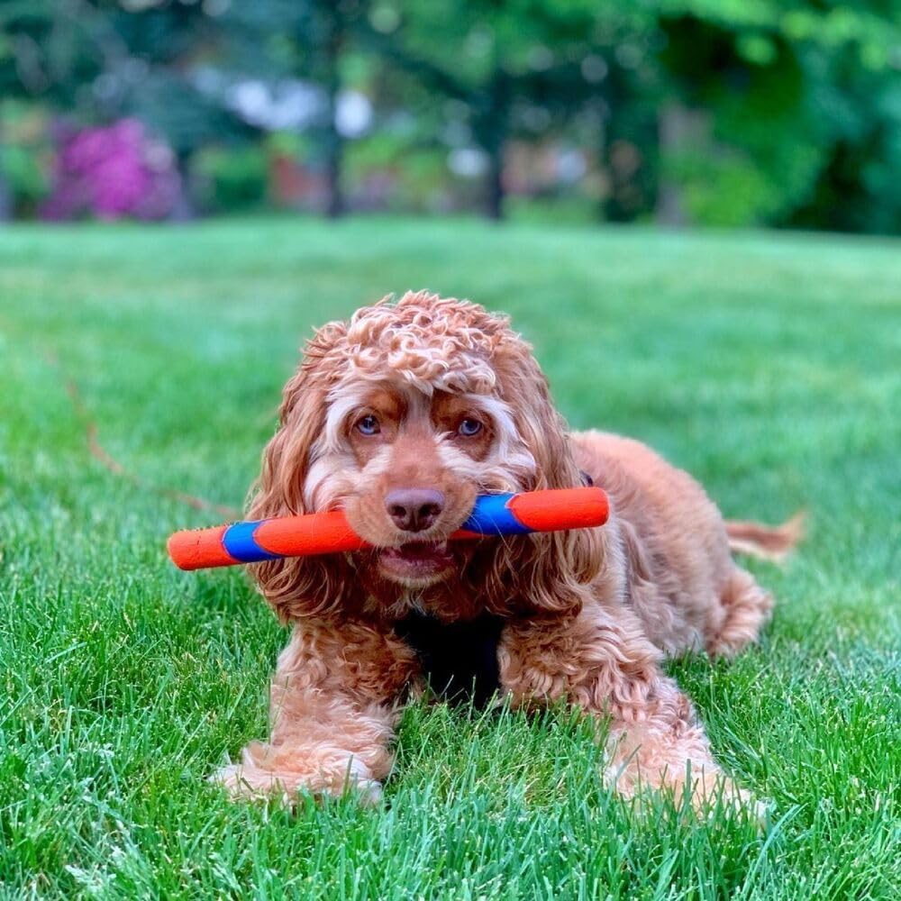 Chuckit! Fetch Pack - Indestructible Dog Toy Launcher with Tennis Ball & Ultra Rubber Ball, 18M, Orange and Blue
