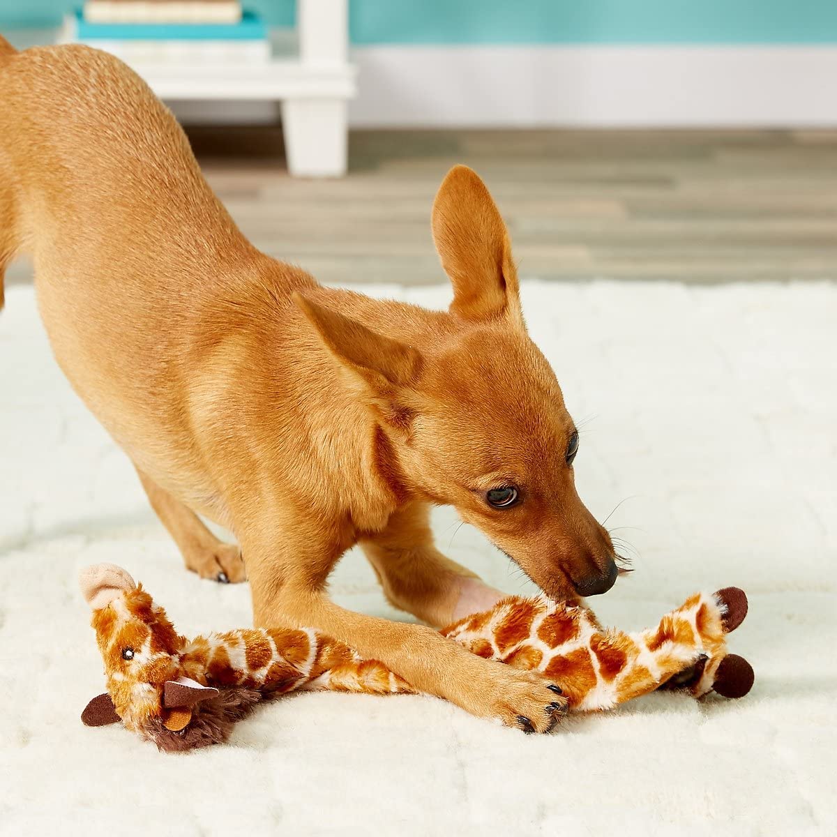 Spot Mini Skinneeez Stuffless Dog Toy With Squeaker | Plush Tug Of War Giraffe Squeak Toy For Small And Large Dog Breeds | Interactive Dog Toy | Small