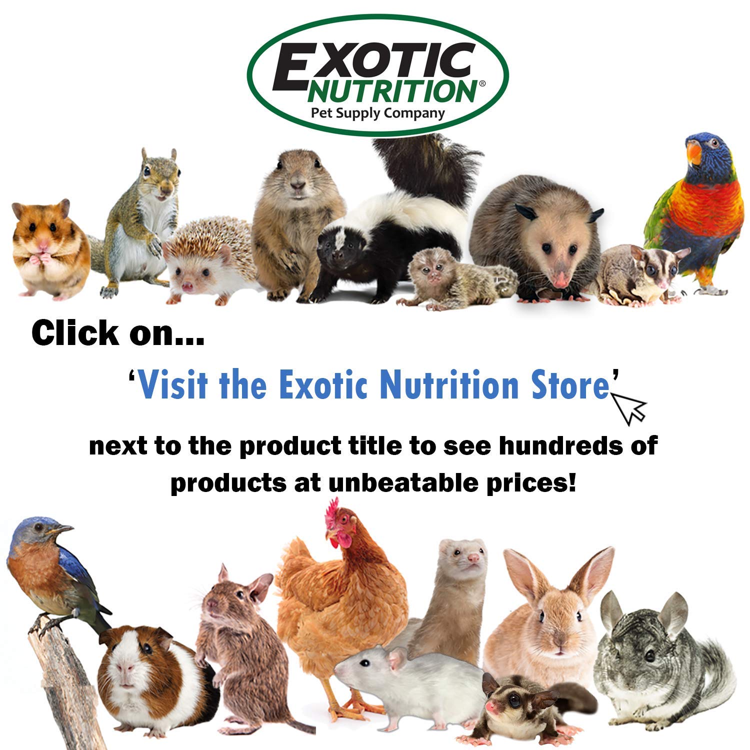 Exotic Nutrition Berries & Bugs - High Protein High Fiber Food for Hedgehogs, Skunks, Opossums, Sugar Gliders, 1.5 lb