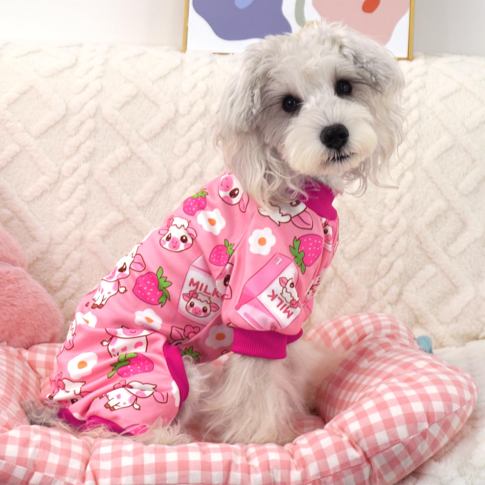 Xpudac 4 Pack Dog Pajamas For Small Medium Dogs, Strechy Soft Puppy Clothes For Doggie Girl Boy Pet Jumpsuit, Cat Onesie-2Xl