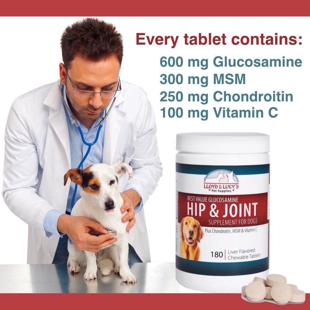 Lloyd & Lucys Hip and Joint Supplement for Dogs - Chewable Multivitamin with Glucosamine, Chondroitin, MSM and Vitamin C - Heal