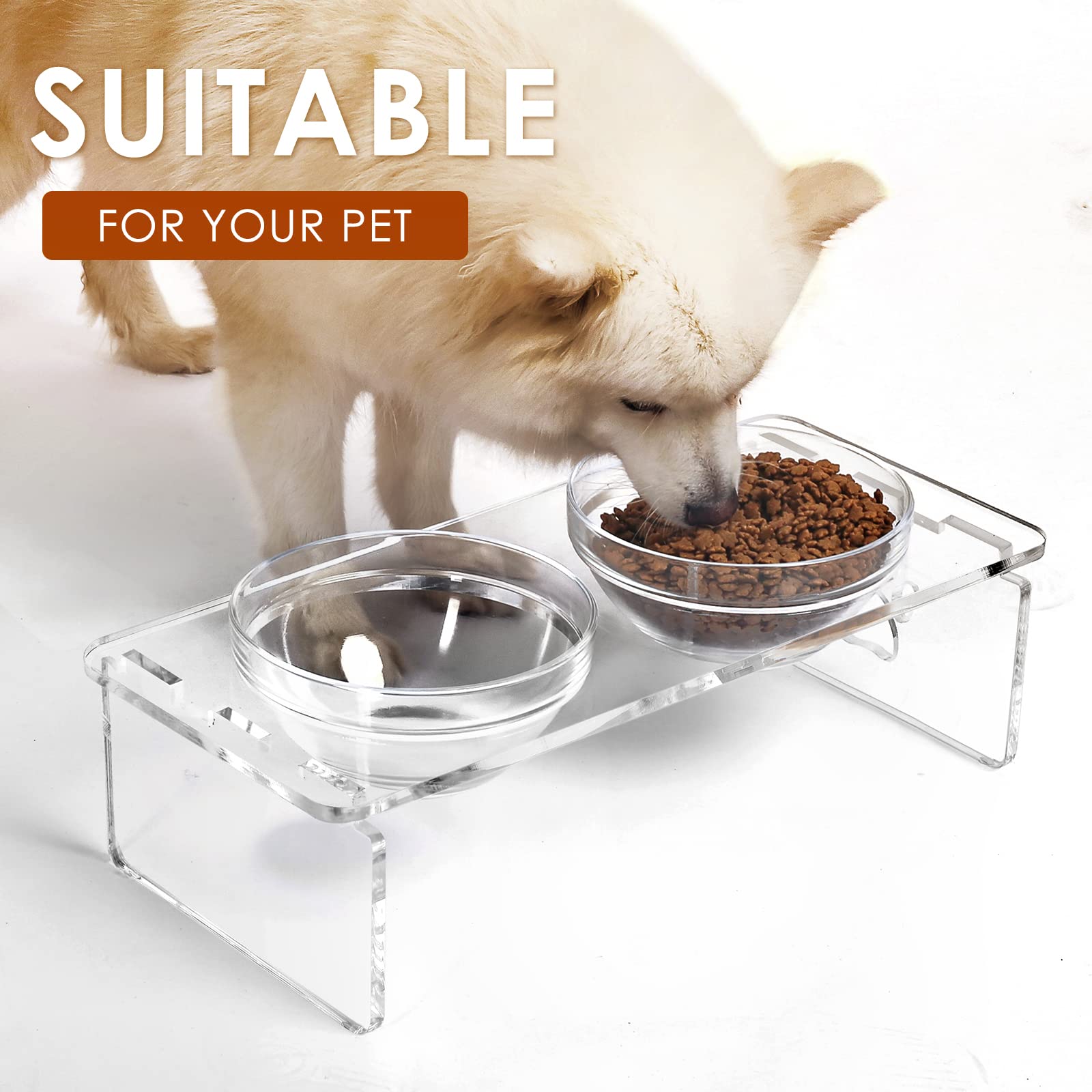 Dog and Cat Bowls Elevated Set - Acrylic Feeder Stand with 2 Set Removable Stainless Steel and Glass Bowls Food and Water Raised