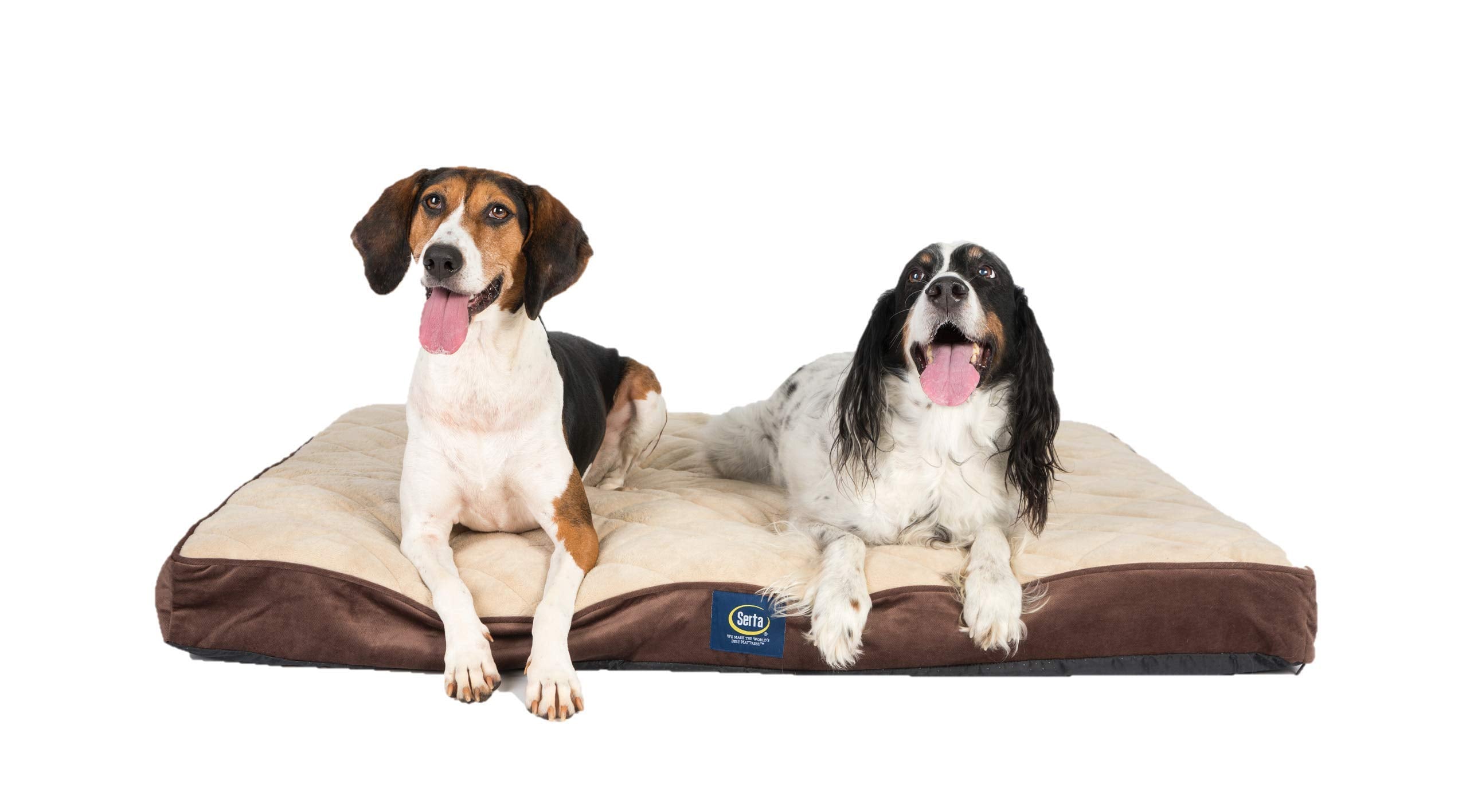 Serta Ortho Quilted Pillowtop Pet Bed, Large, Mocha
