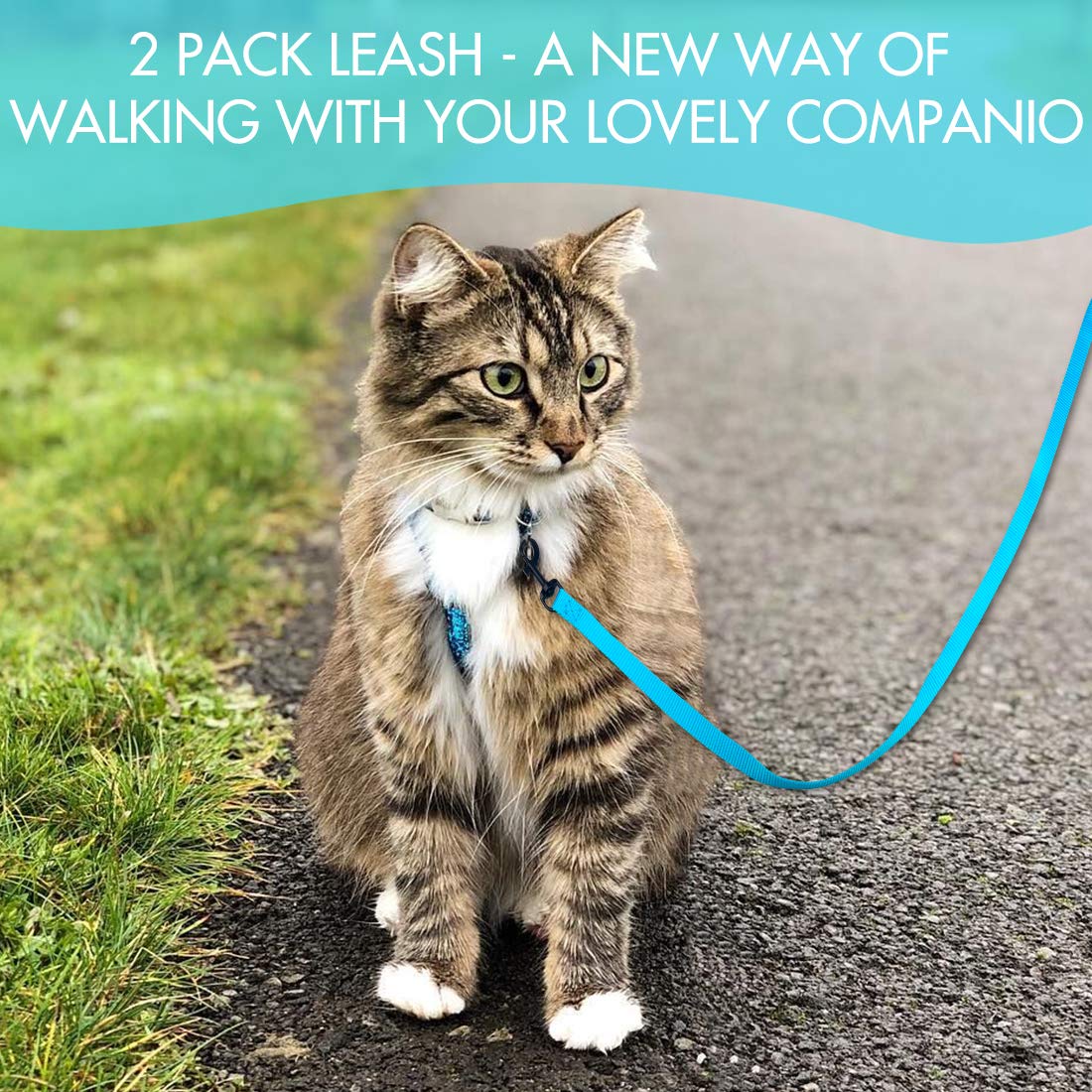 Doyoo 2 Pack Dog And Cat Leash With Easy To Use Collar Hook - Strong And Durable For Small And Medium Pets - Includes Collapsibl