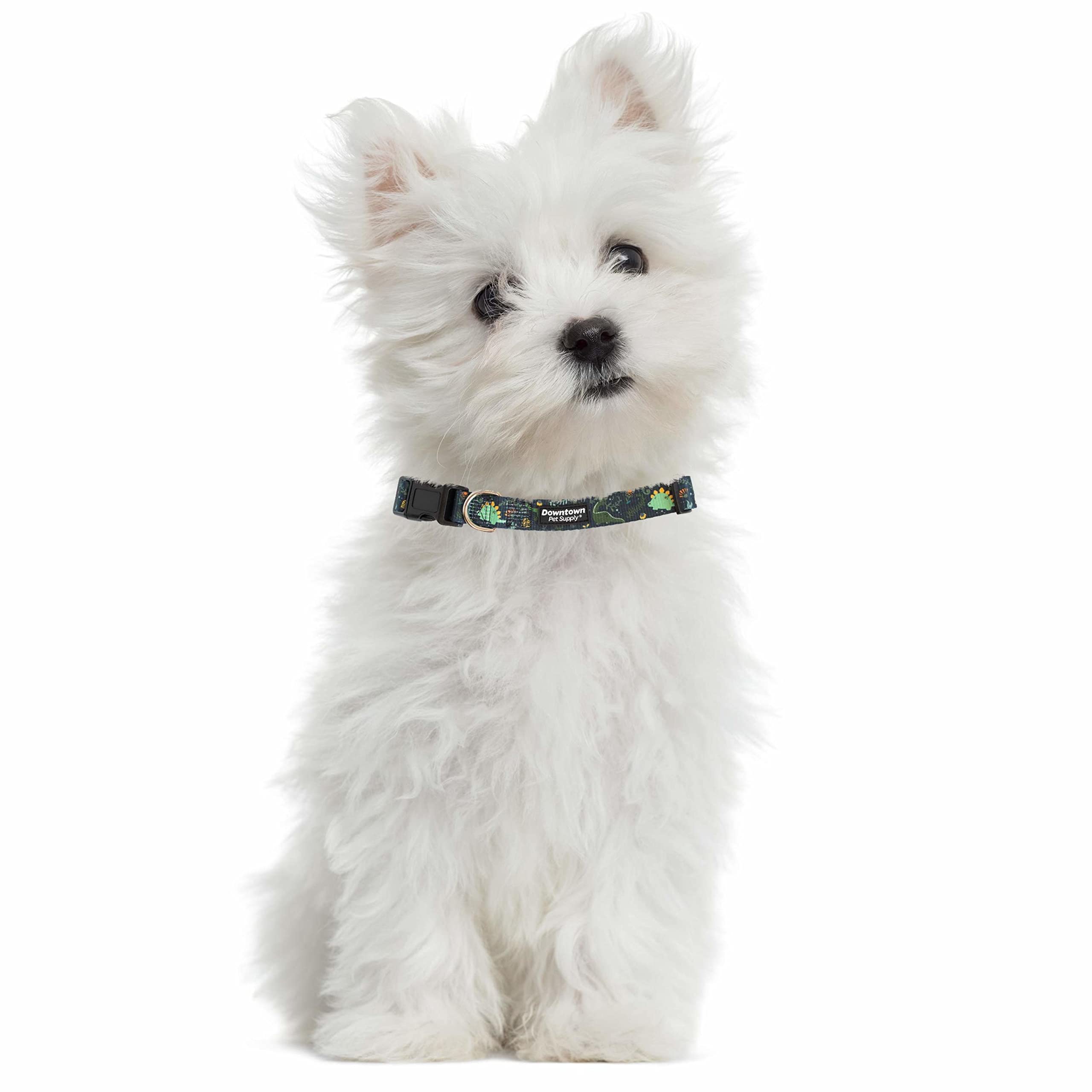 Downtown Pet Supply - Best, Cute & Fancy Adjustable Dog Collar - Lightweight With Quick Buckle & D-Ring - Hand Wash Safe - Dino