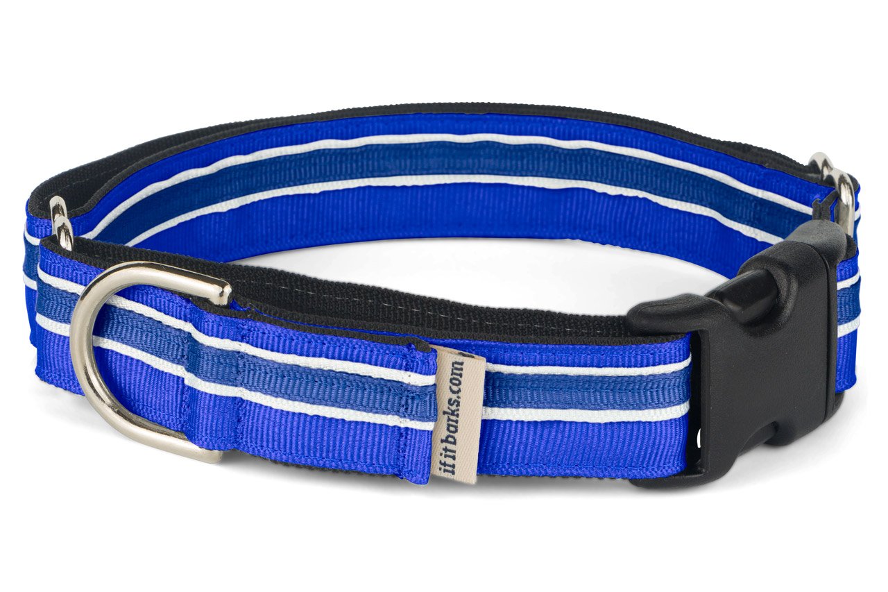 If It Barks 1 Martingale Collar With Quick Snap Release Buckle, Adjustable, Usa Made, Small, Blueberry