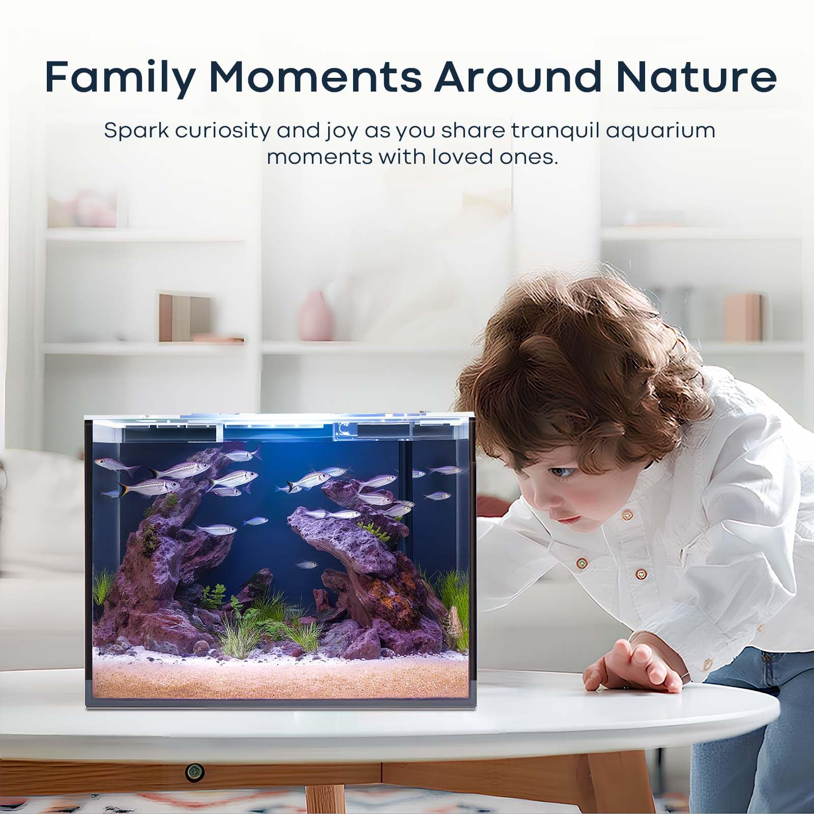 3 Gallon Glass Fish Tank Cube, Small Aquarium Fish Bowl for Betta Goldfish Snails Shrimp Aquatic Planting, Easy to Maintain Ultr