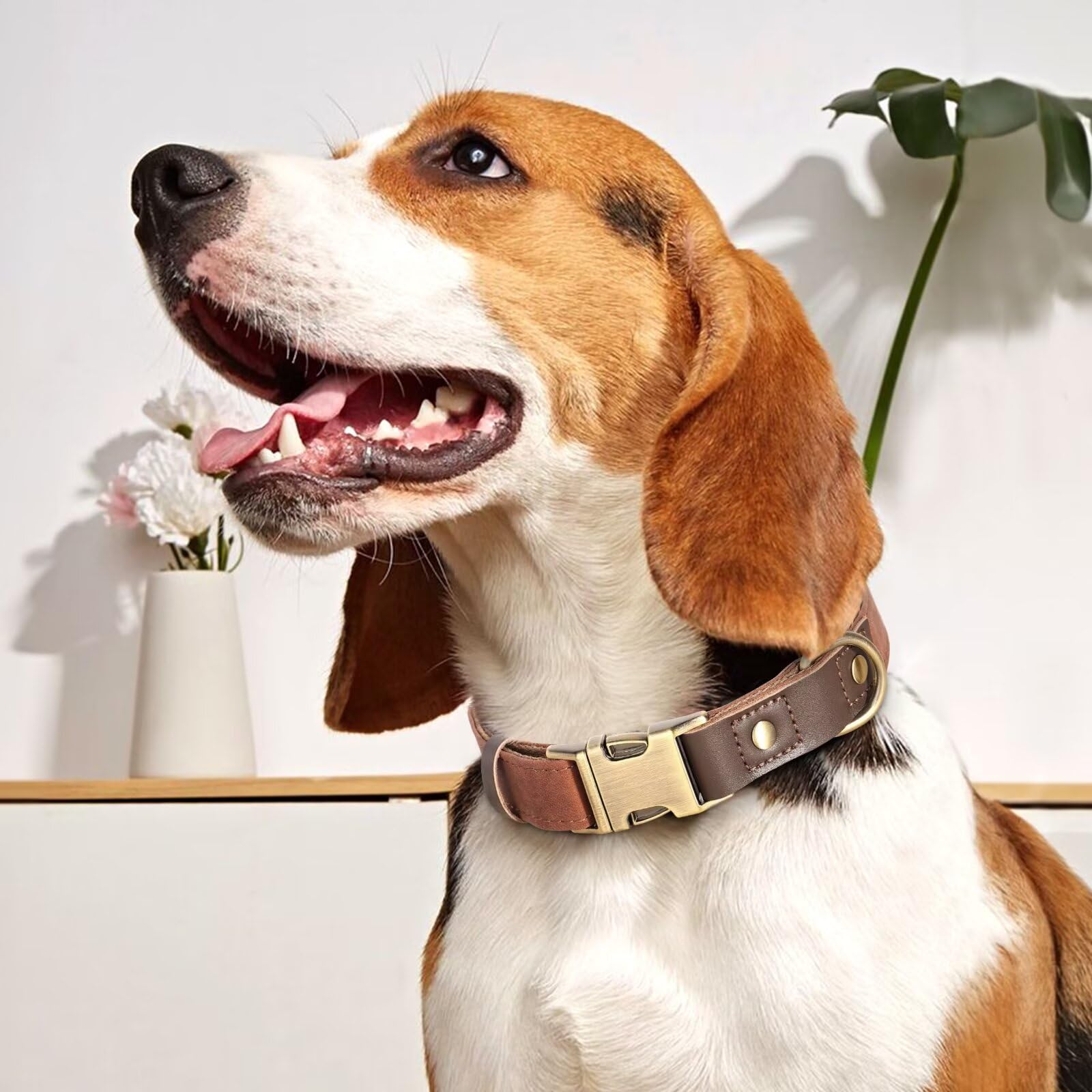 Didog Soft Padded Leather Dog Collars For Small Dogs, Classic Heavy Duty Dog Collar Adjustable With Quick Release Metal Buckle,B