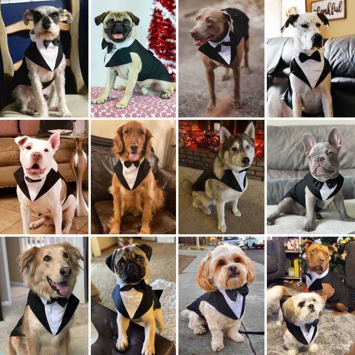 Dog Tuxedo And Bandana Set, 2 Pack Pet Costume Puppy Formal Party Suit, Dog Clothes For Small Medium Large Dogs, Dog Prince Bow Tie Shirt Dog Wedding Attire For Golden Retriever Samo Bulldogs (Xl)