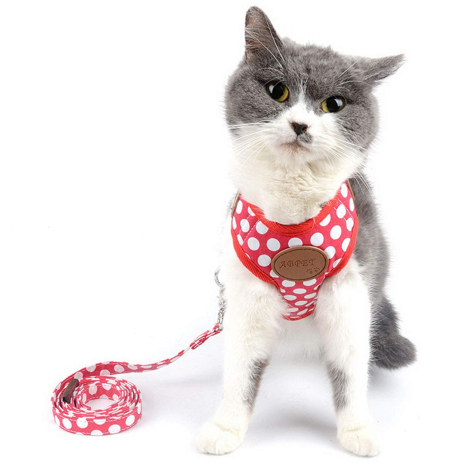 Smalllee_Lucky_Store Cwyp00068-Red-S New Soft Mesh Nylon Vest Pet Cat Small Medium Dog Harness Dog Leash Set Leads ,Red , S