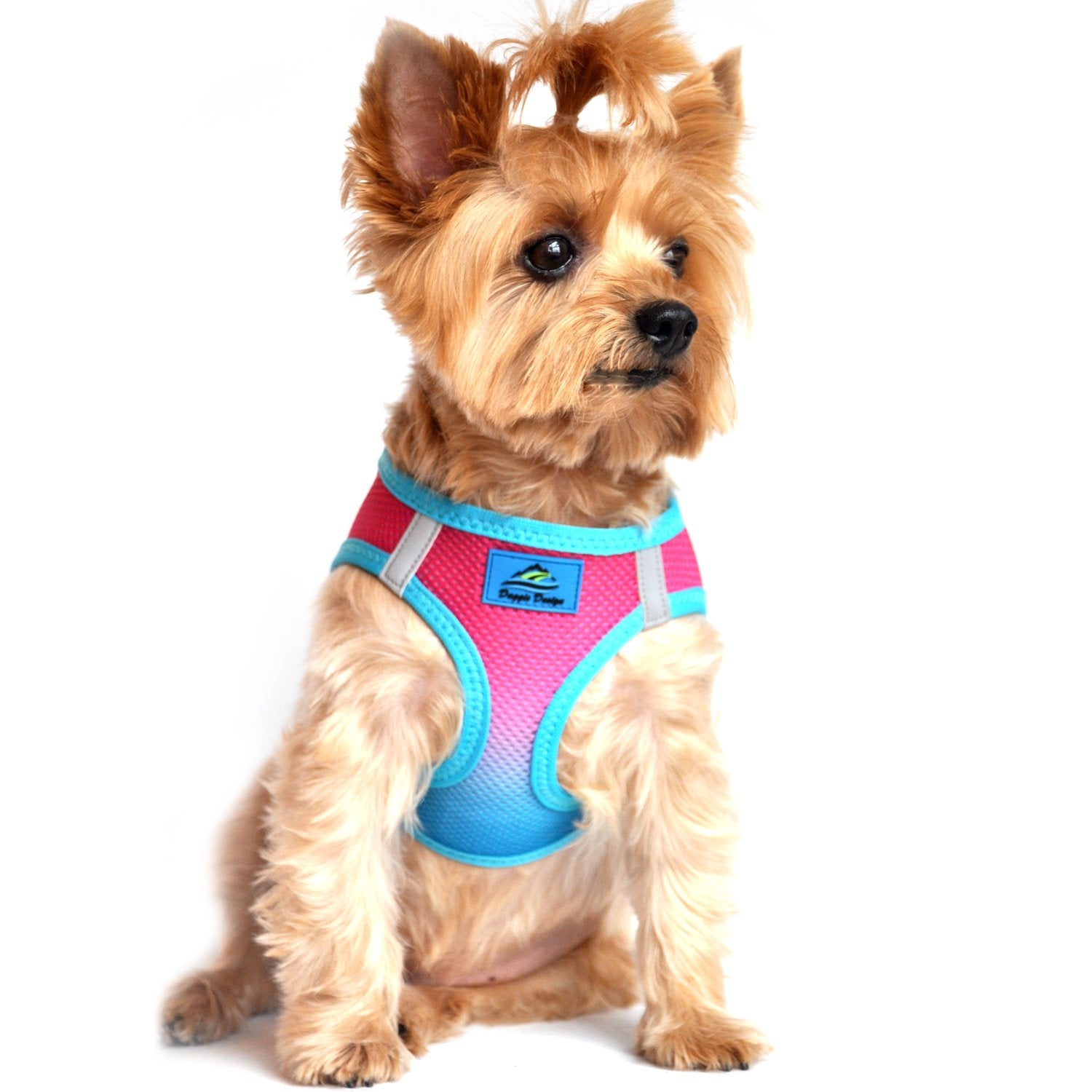 Doggie Design No Choke Dog Harness - Simple Step-In And Go Dog Vest For Small, Medium, And Large Breeds - Breathable Mesh Polyester Pet Harness - Sugar Plum - 2Xl