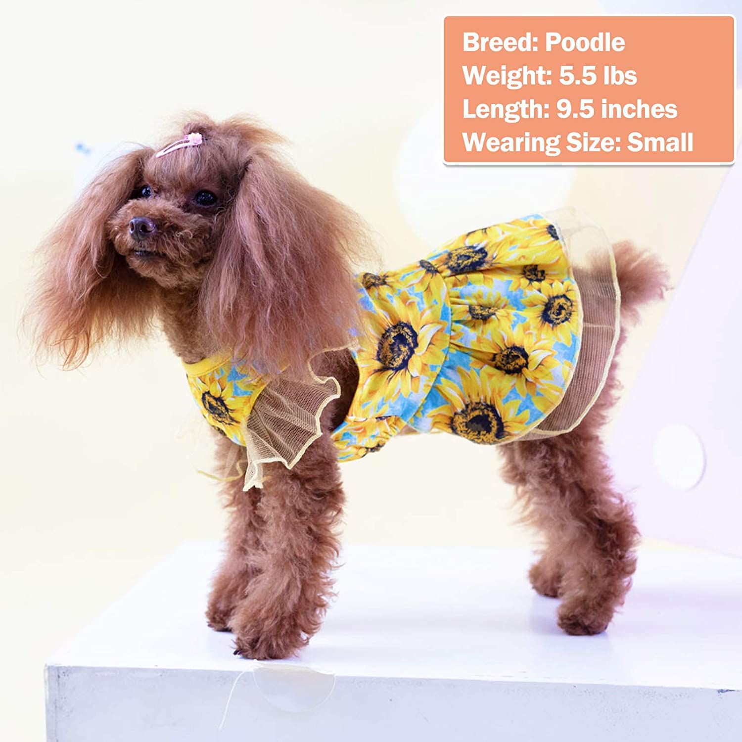 Kyeese Dog Dress For Medium Dogs Sunflower Dogs Sundress Tulle With Ruffle Sleeves Dog Apparel