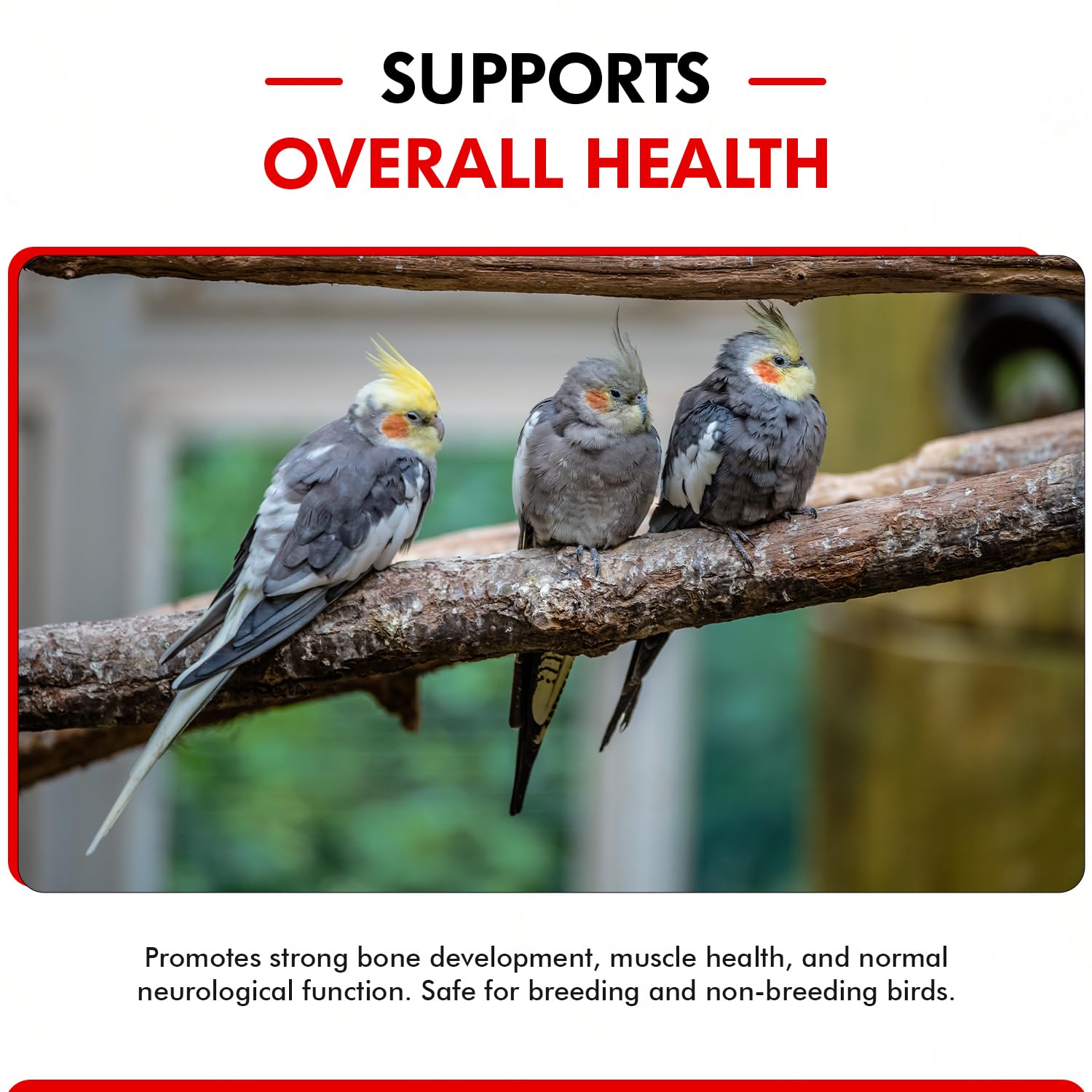 Morning Bird Calcium Plus Liquid for Birds - 8 Fl Oz, Supports Eggshell Strength and Healthy Growth, Model MB046