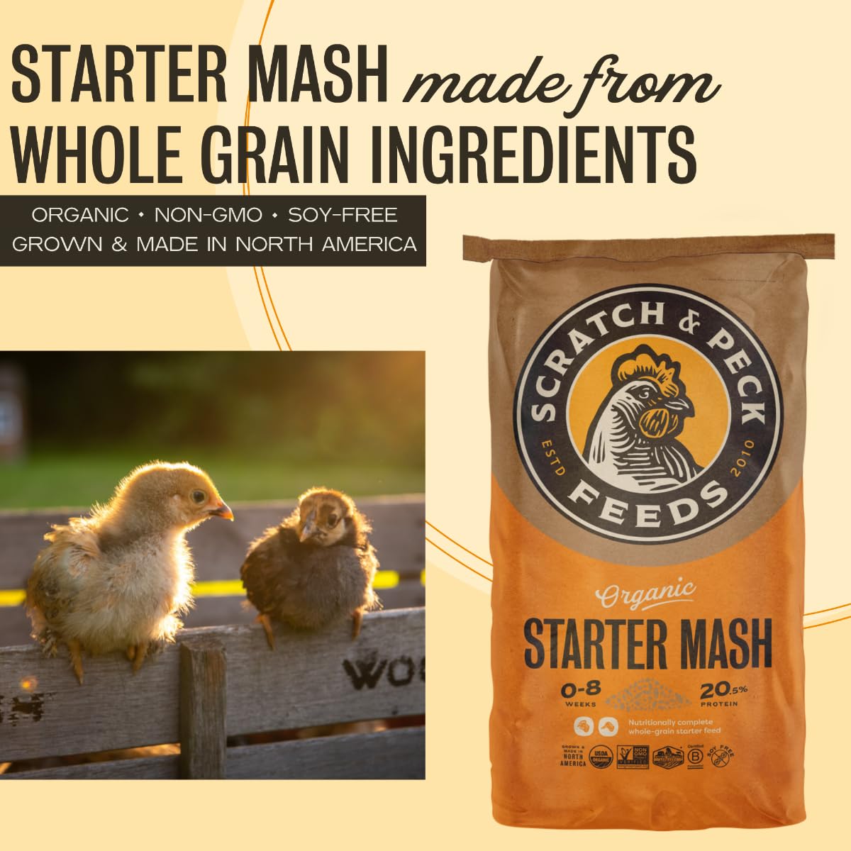 Scratch and Peck Feeds Whole Grain Starter Mash Chicken and Duck Feed - 40 lbs Bag - Corn-Free and Soy-Free - 20.5% Protein, Cer