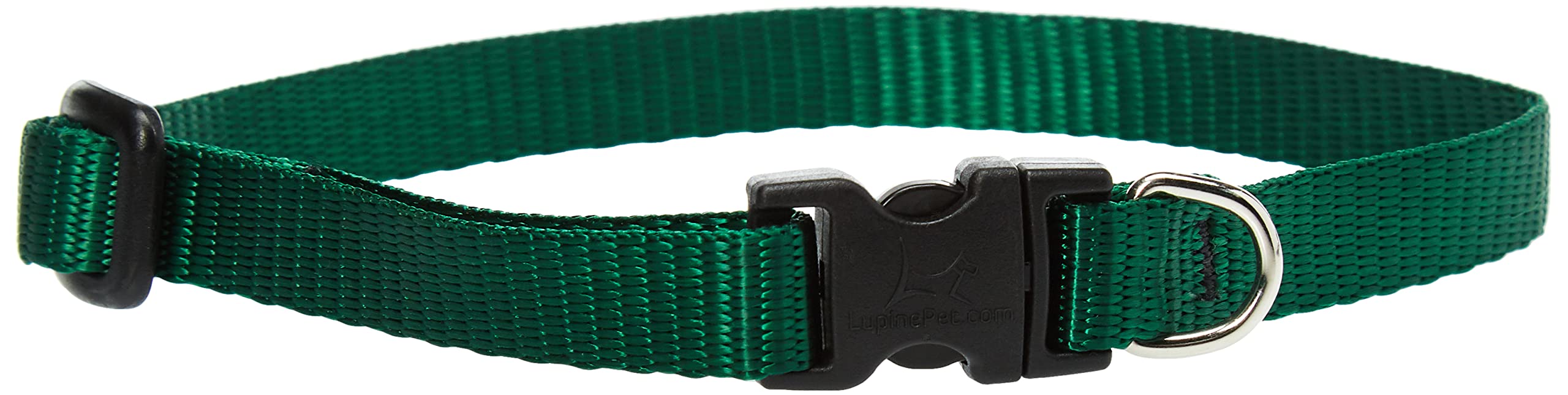 LupinePet Basics 1/2'' Green 10-16'' Adjustable Collar for Small Dogs