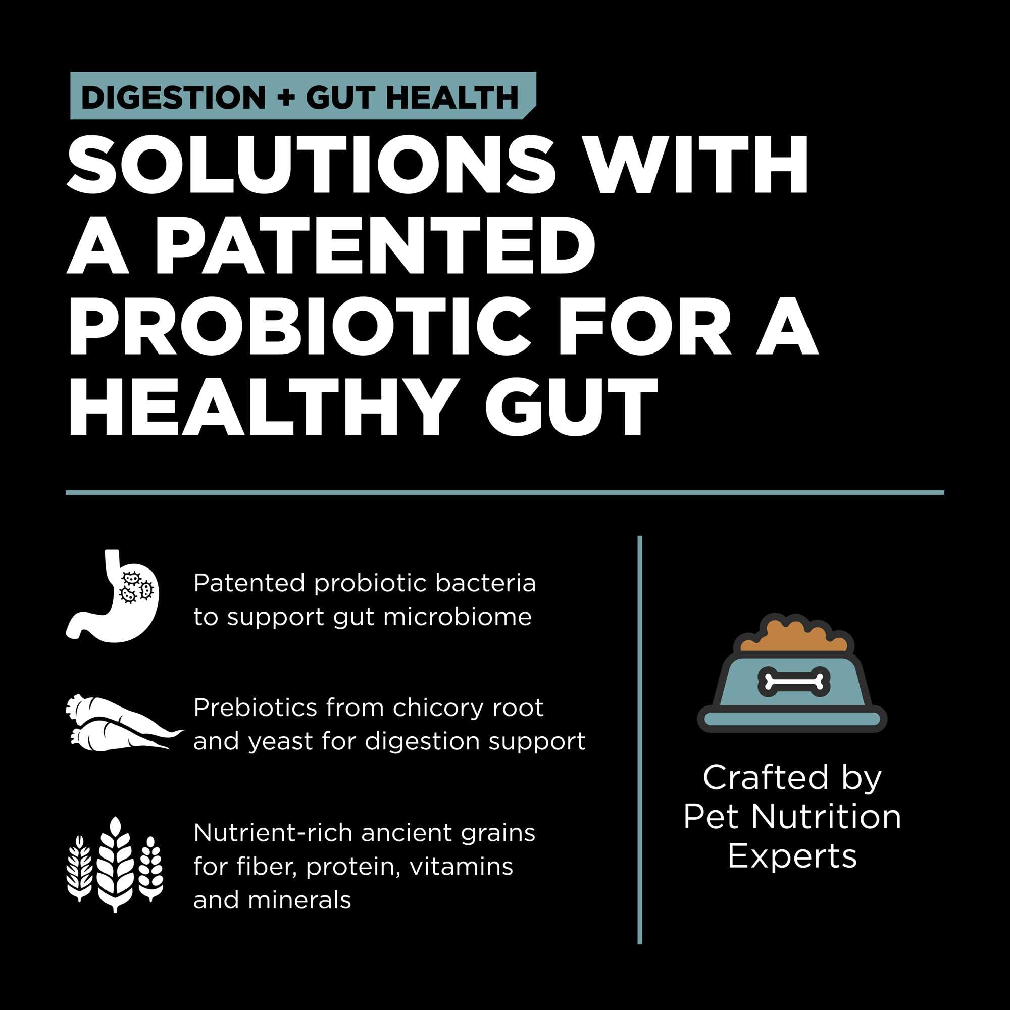 Go! Solutions Digestion + Gut Health Chicken Dry Dog Food, Premium-Quality Kibble for Gastrointestinal & Digestive Wellness, Sup