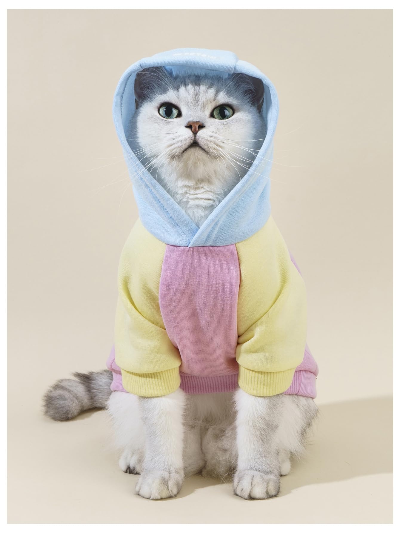 Qwinee Basic Dog Hoodie, Cat Apparel, Dog Shirt, Pink X-Small & Medium