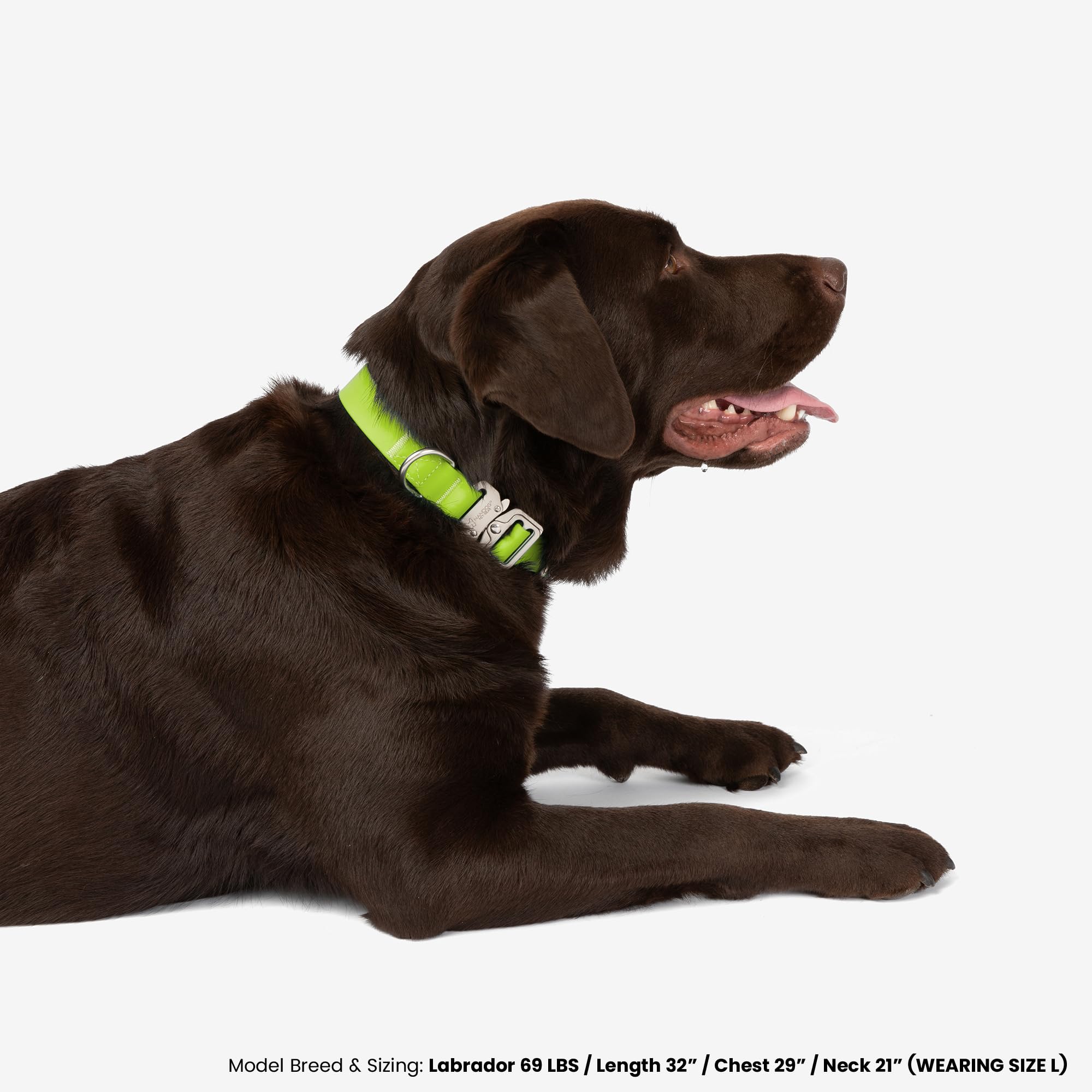 Nandog The Signature Collection Waterproof Poly-Flex Sport Dog Collar In Large, Neon Green - Durable & Adjustable Design - Comfo