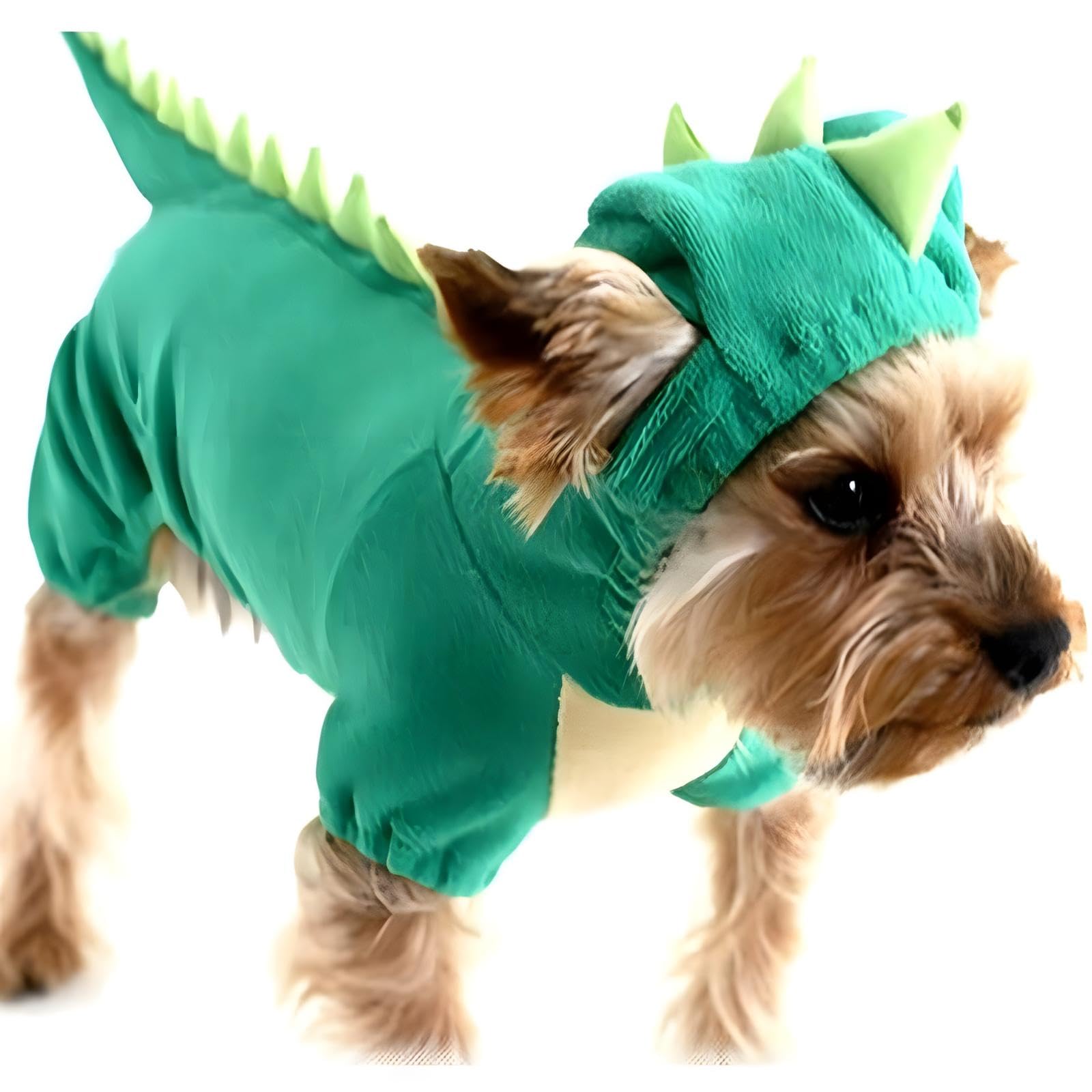 Nacoco Dog Dinosaur Design Costume Green Pet Clothes For Medium & Large Dog (Green, M)