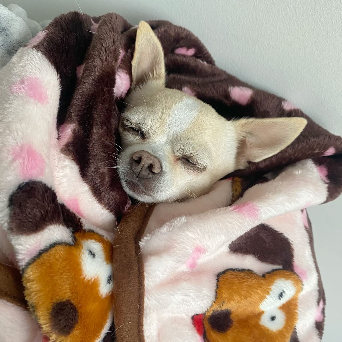 SmartPetLove Snuggle Puppy Blanket - Soft, Long Lasting, 48x30in, Pink Pattern, Model BLK2