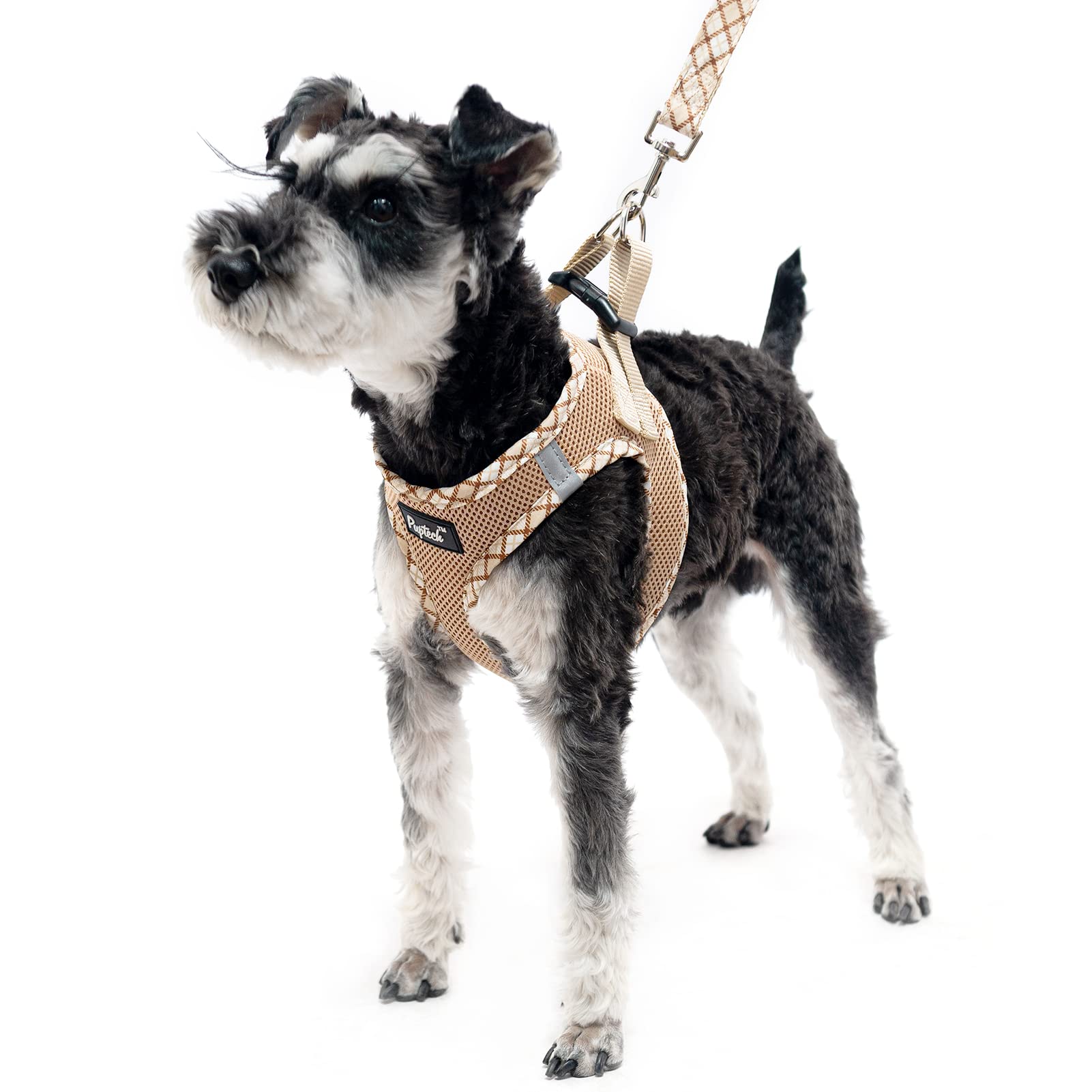 Pupteck Dog Harness And Leash Set For Small Medium Dogs No Pull Step-In Soft Mesh Puppy Cat Vest Harnesses Reflective At Night, Beige Xs