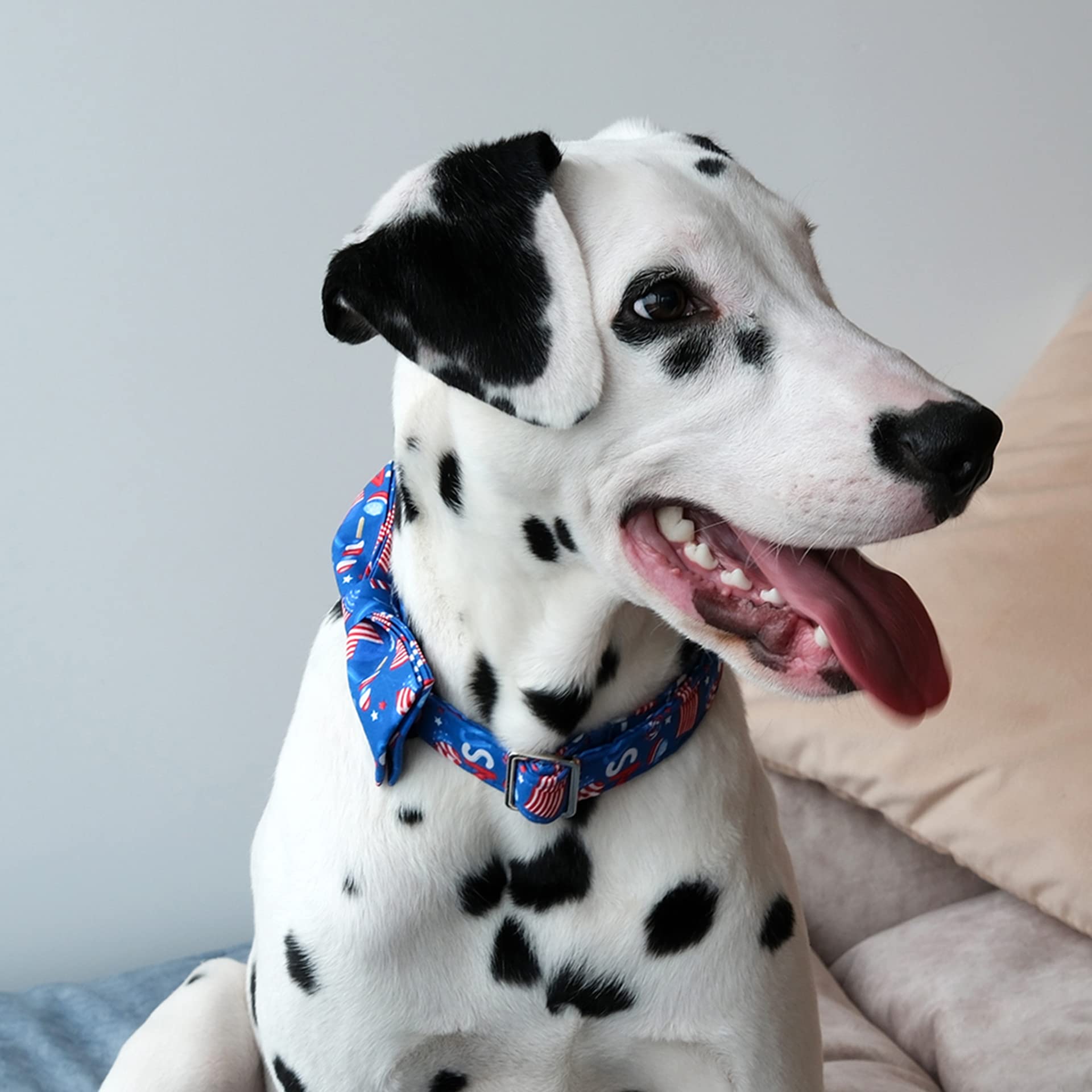 Lionet Paws Patriotic Dog Collar With Bowtie, 4Th Of July, Soft And Comfortable Adjustable American Flag Bowtie Collar For Dogs