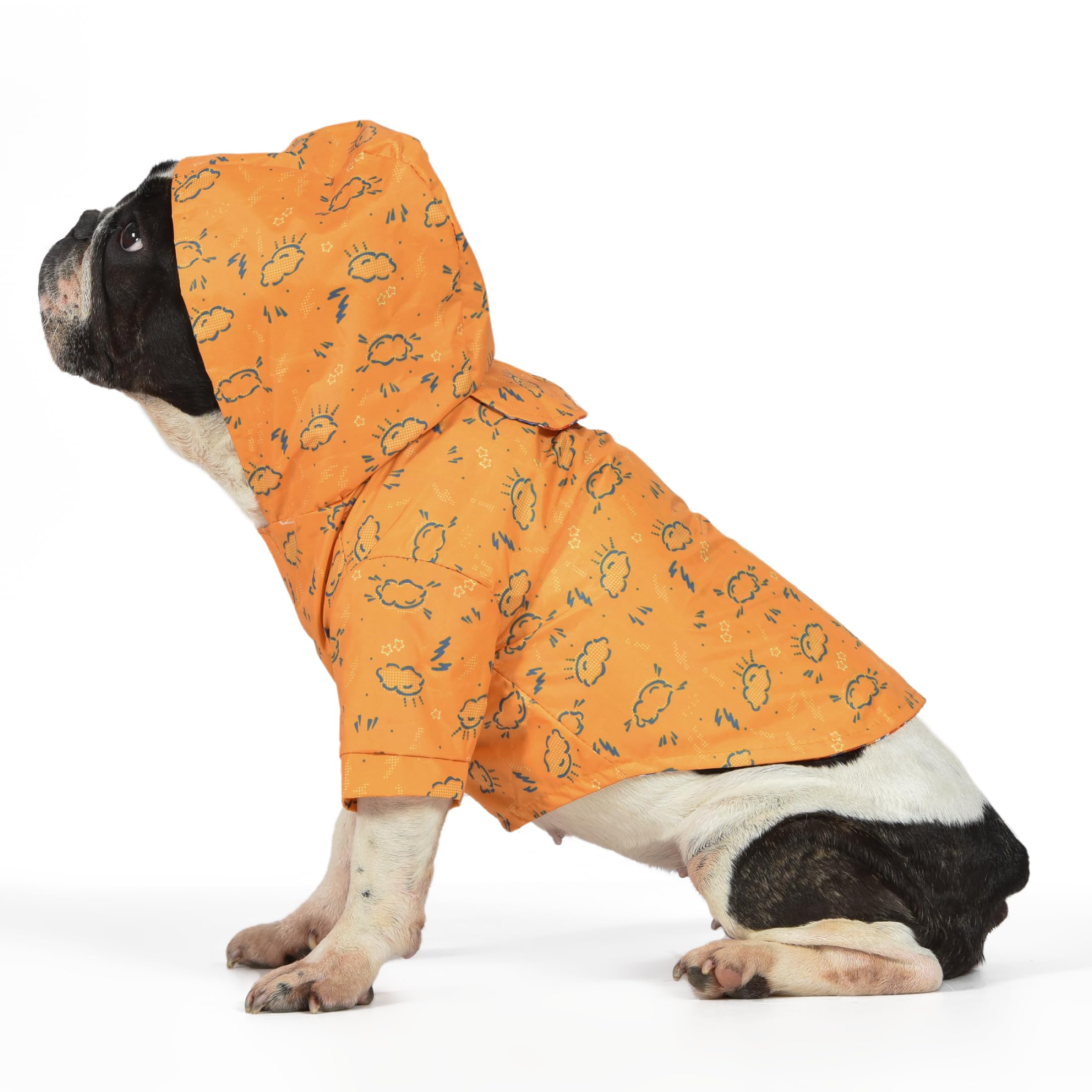 The Dodo Rainy Days Printed Raincoat for Dogs, Orange, Size Large; Water Resistant Dog Raincoat with Hook-and-Loop Drape Closure