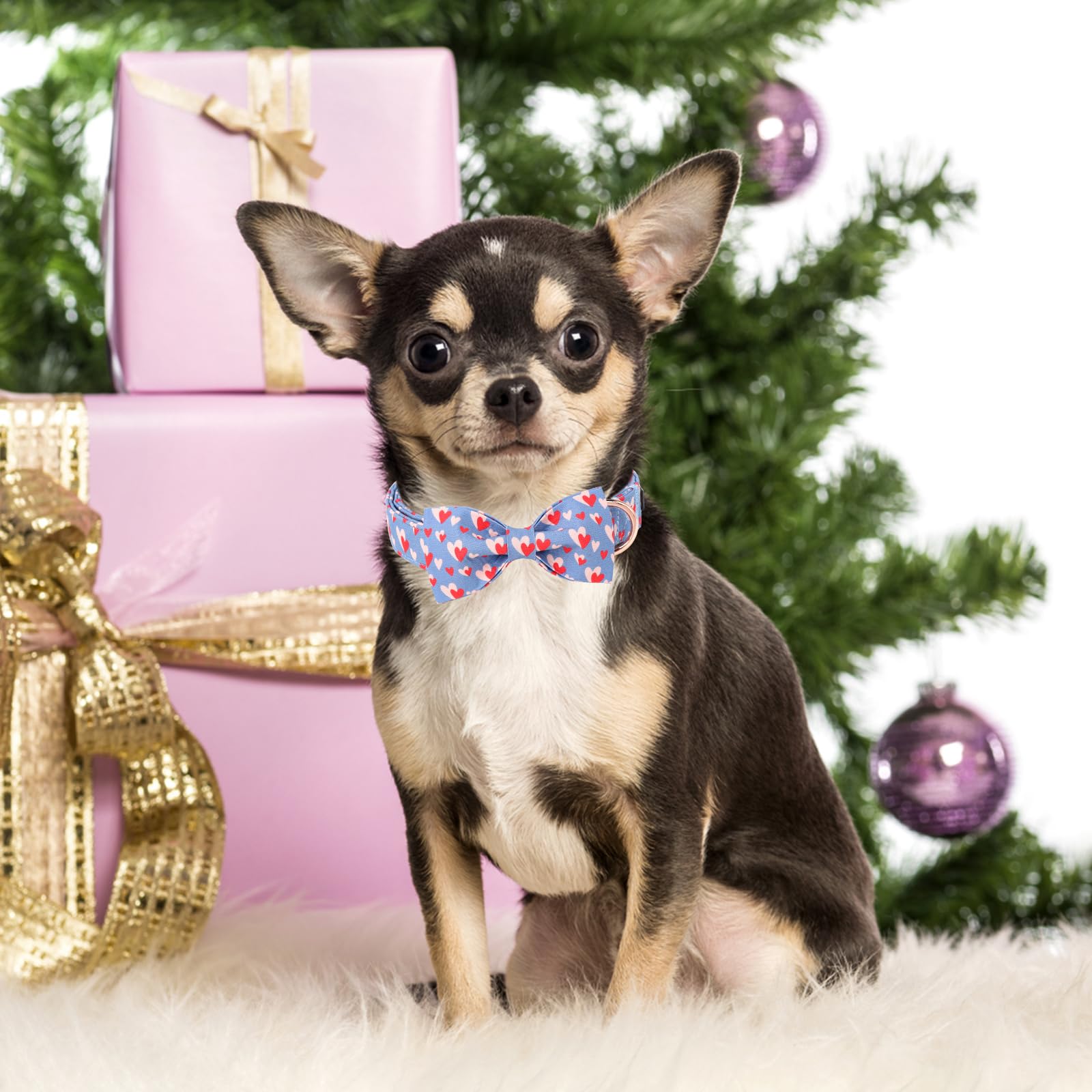 Unique Style Paws Valentine'S Dog Collar With Bow Tie Red Blue Pink Heart Love Puppy Collar Style For Small Medium Large Boys Gi