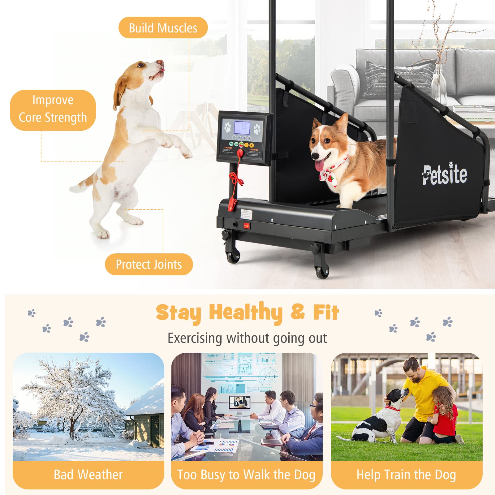PETSITE Dog Treadmill for Small & Medium Dogs - Fitness Machine with LCD Display, 200 LBS Capacity, Black