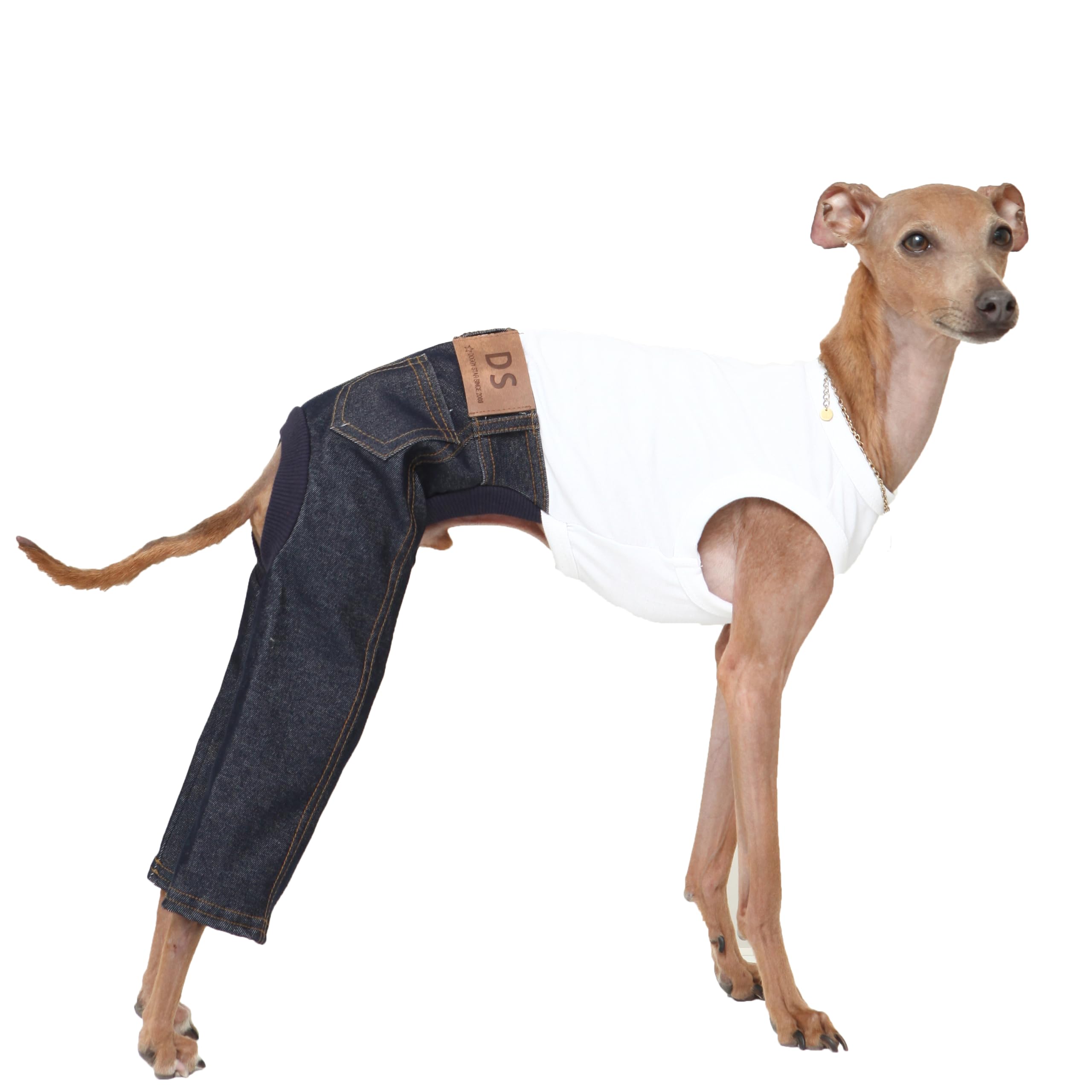 D Doggy Star Italian Greyhound Clothes Sleeveless Jeans Onesie Outfit Whippet For Dog Coat (M,Blue Jean)