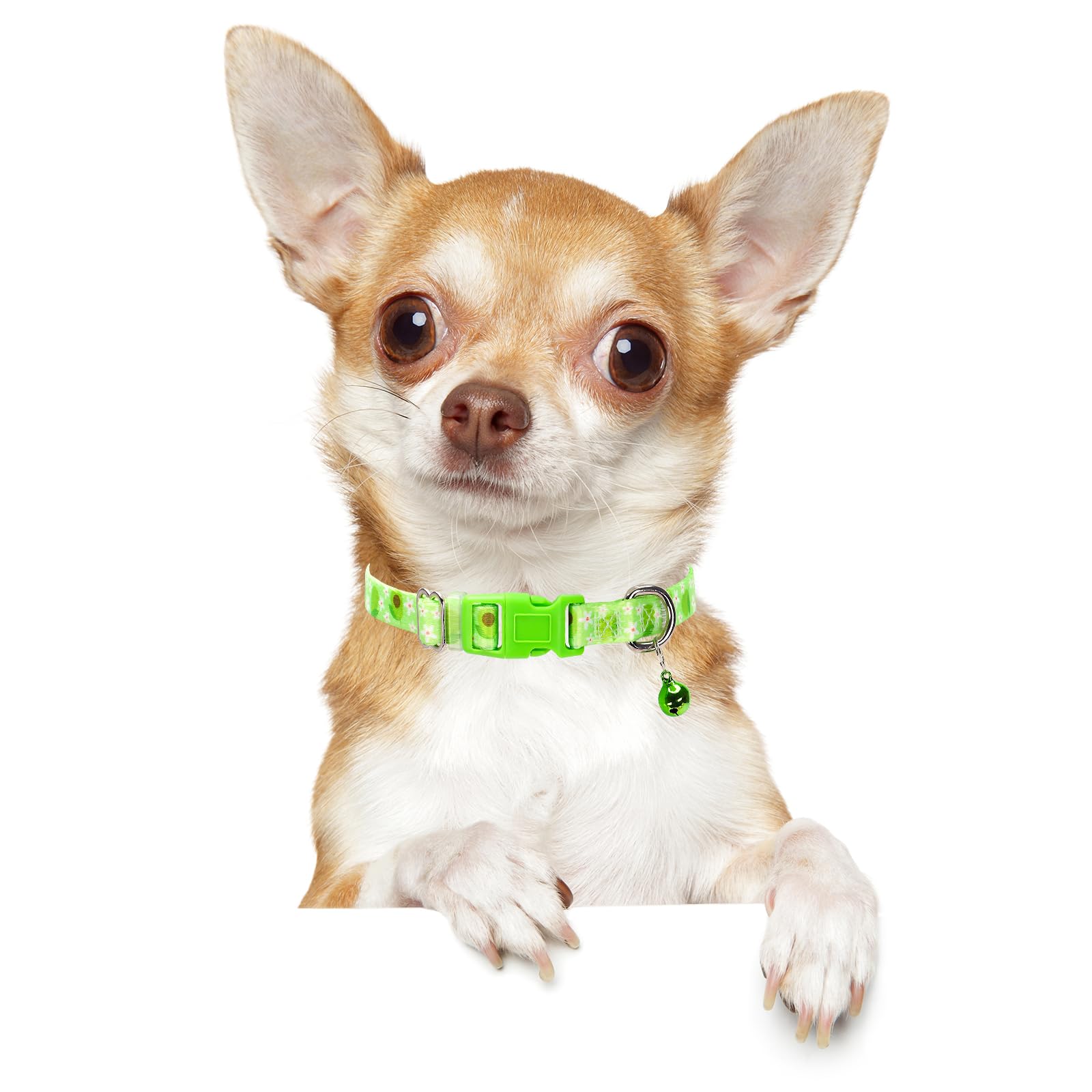 Xs Dog Collar With Bell- Durable Nylon Collar For Small Breeds,Adjustable Cute Fruit Pattern Collar For Chihuahua Pomeranian Yor