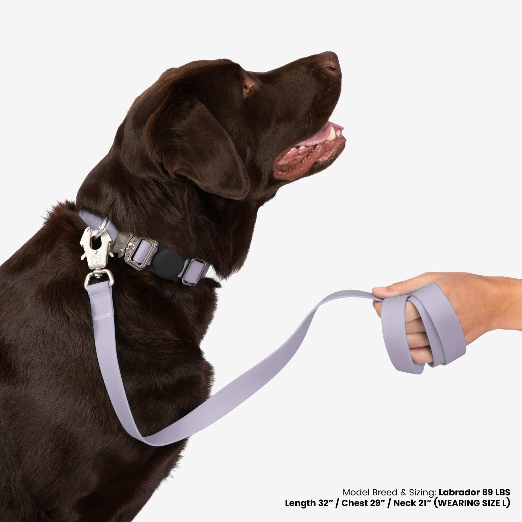 Nandog The Signature Collection Waterproof Poly-Flex Sport Dog Collar In Large, Purple - Durable & Adjustable Design - Comfortab