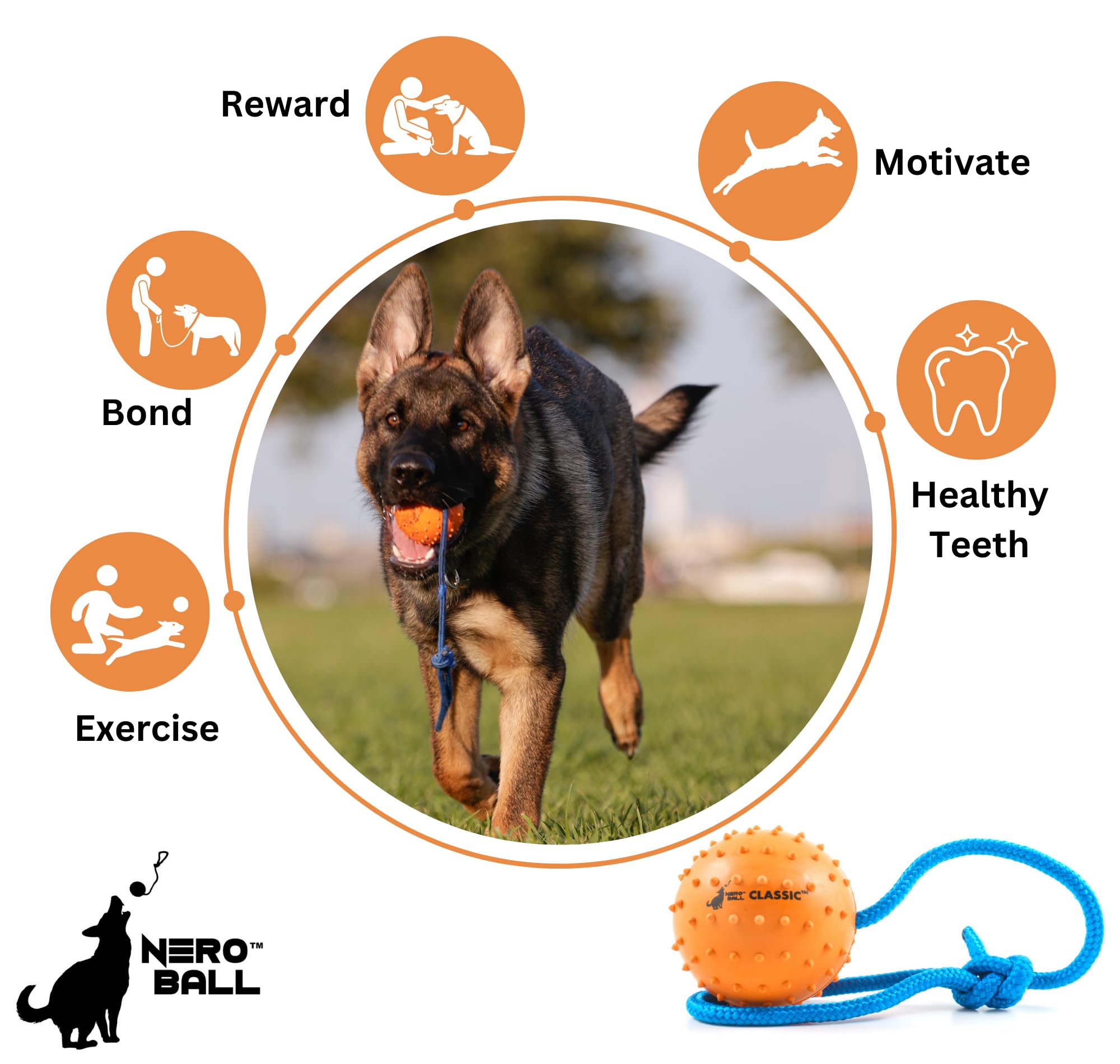 The Nero Ball Classic Tm - K-9 Ball On A Rope Reward And Exercise Rubber Ball - Fetch Ball